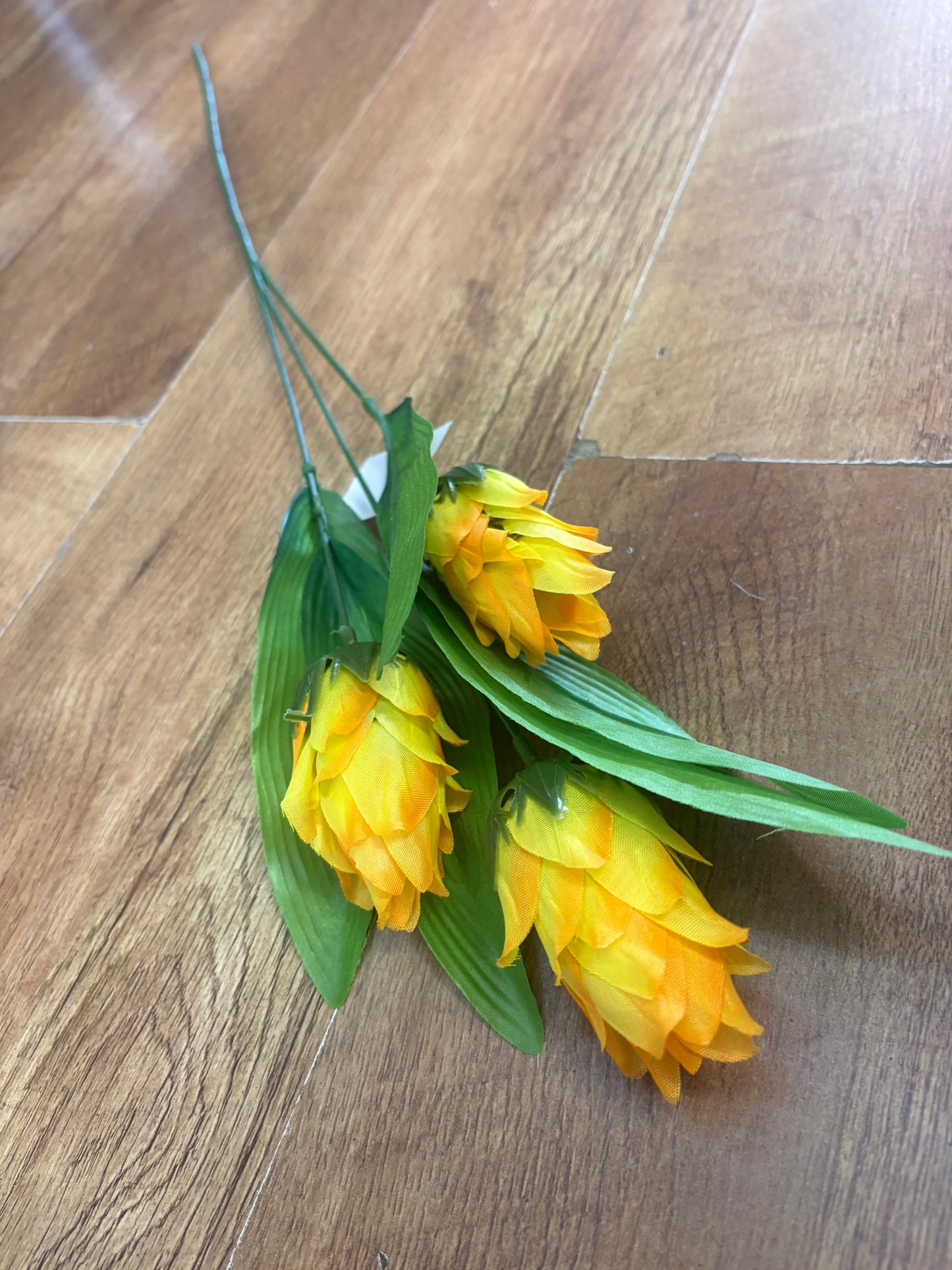 Long dragonfruit stem - 4 colours available