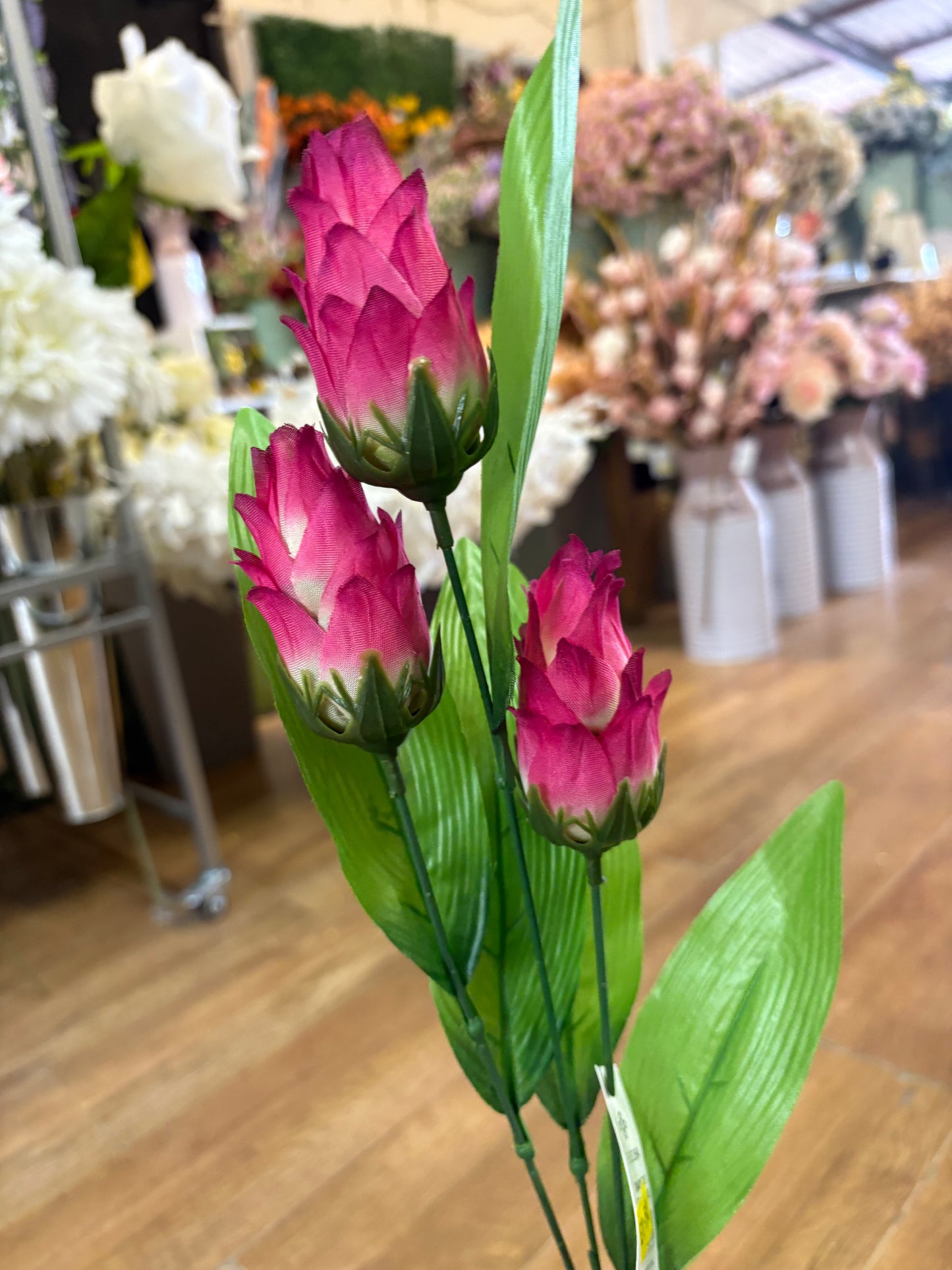Long dragonfruit stem - 4 colours available