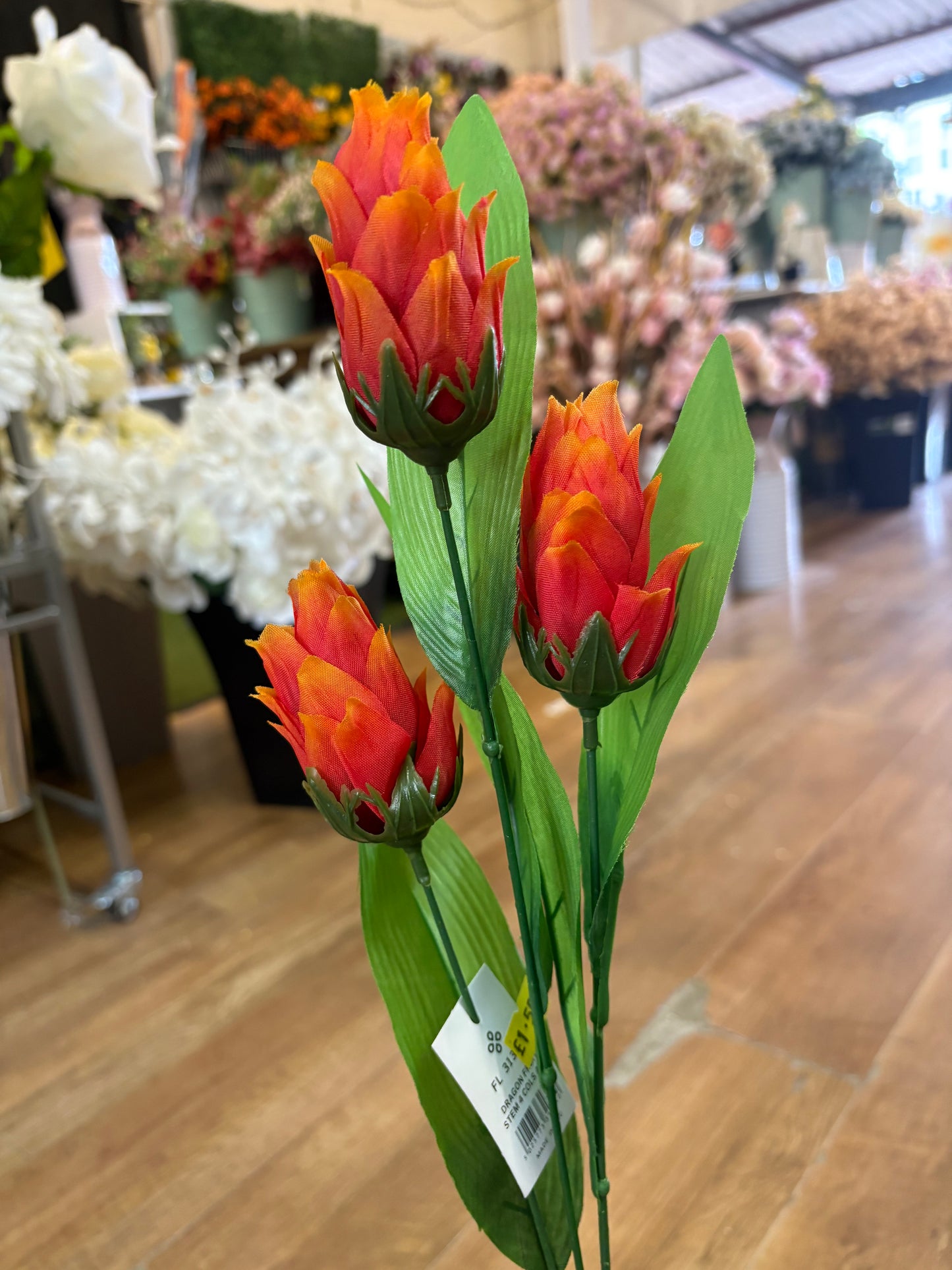 Long dragonfruit stem - 4 colours available