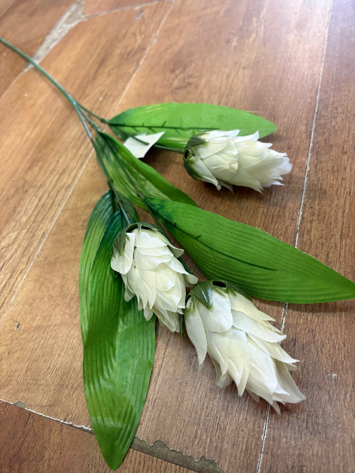 Long dragonfruit stem - 4 colours available