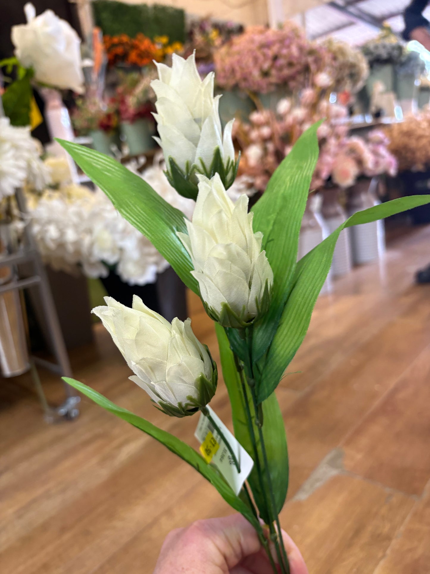 Long dragonfruit stem - 4 colours available