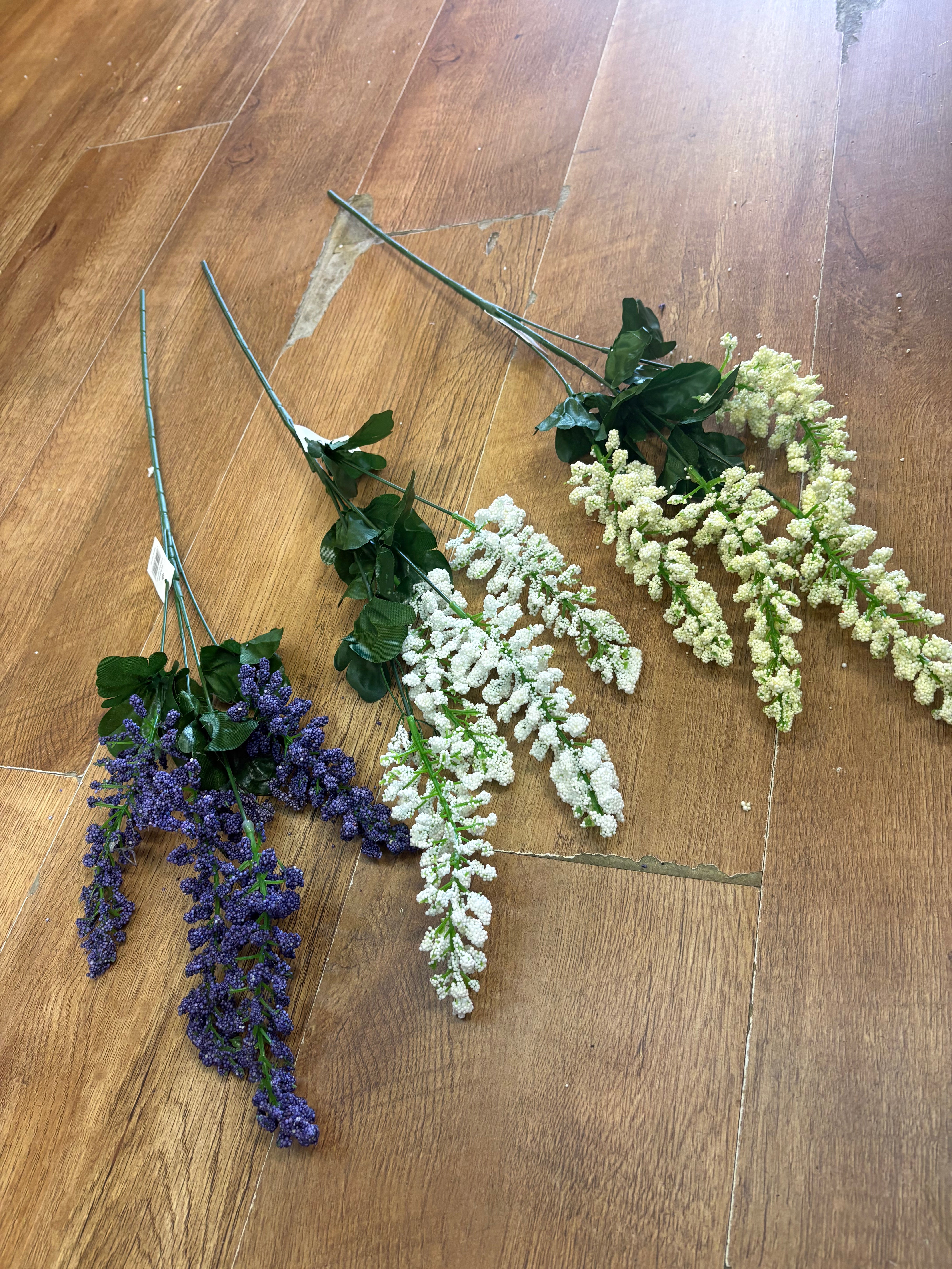 Long stem foxtail - 3 colours available