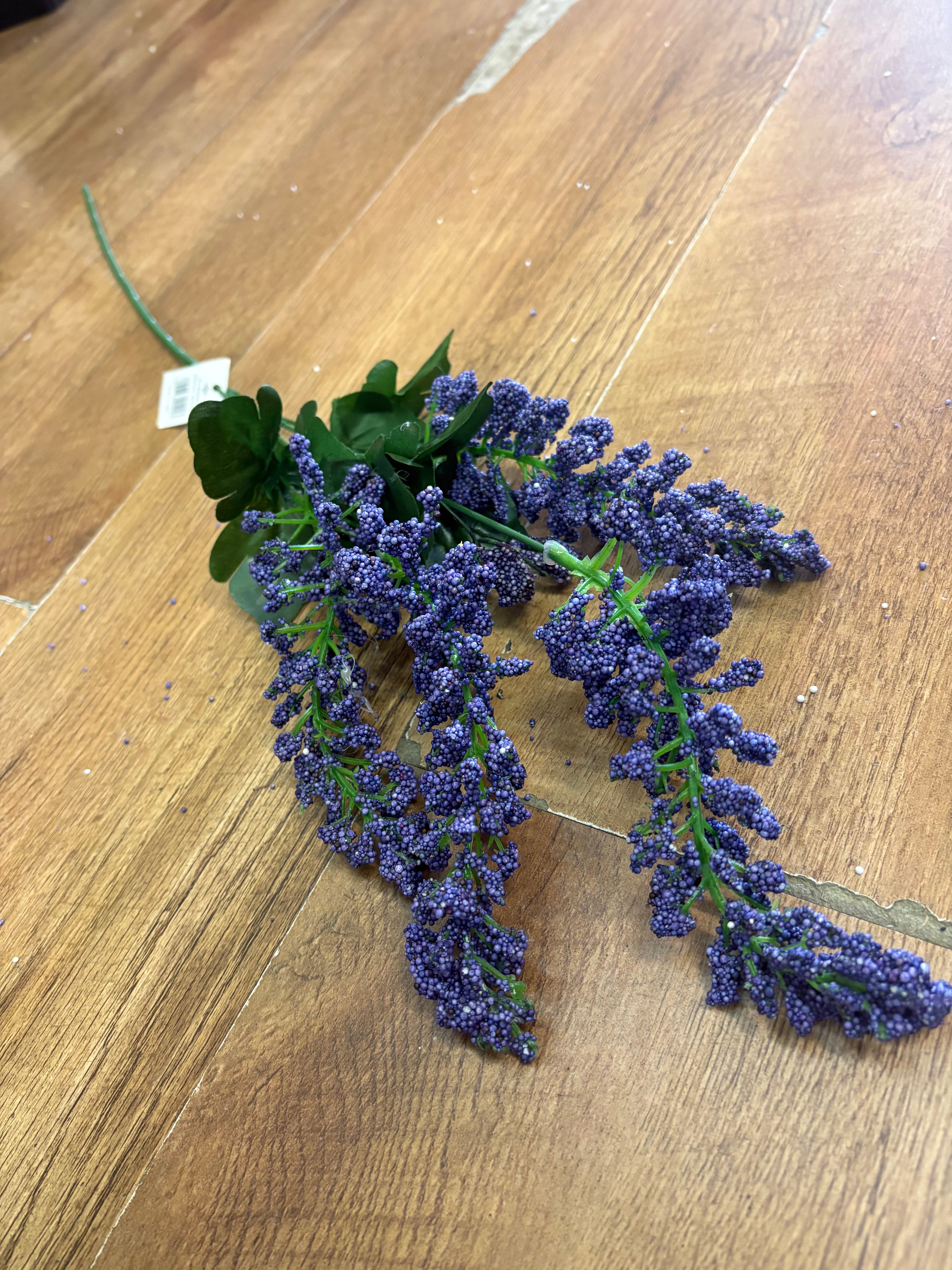 Long stem foxtail - 3 colours available