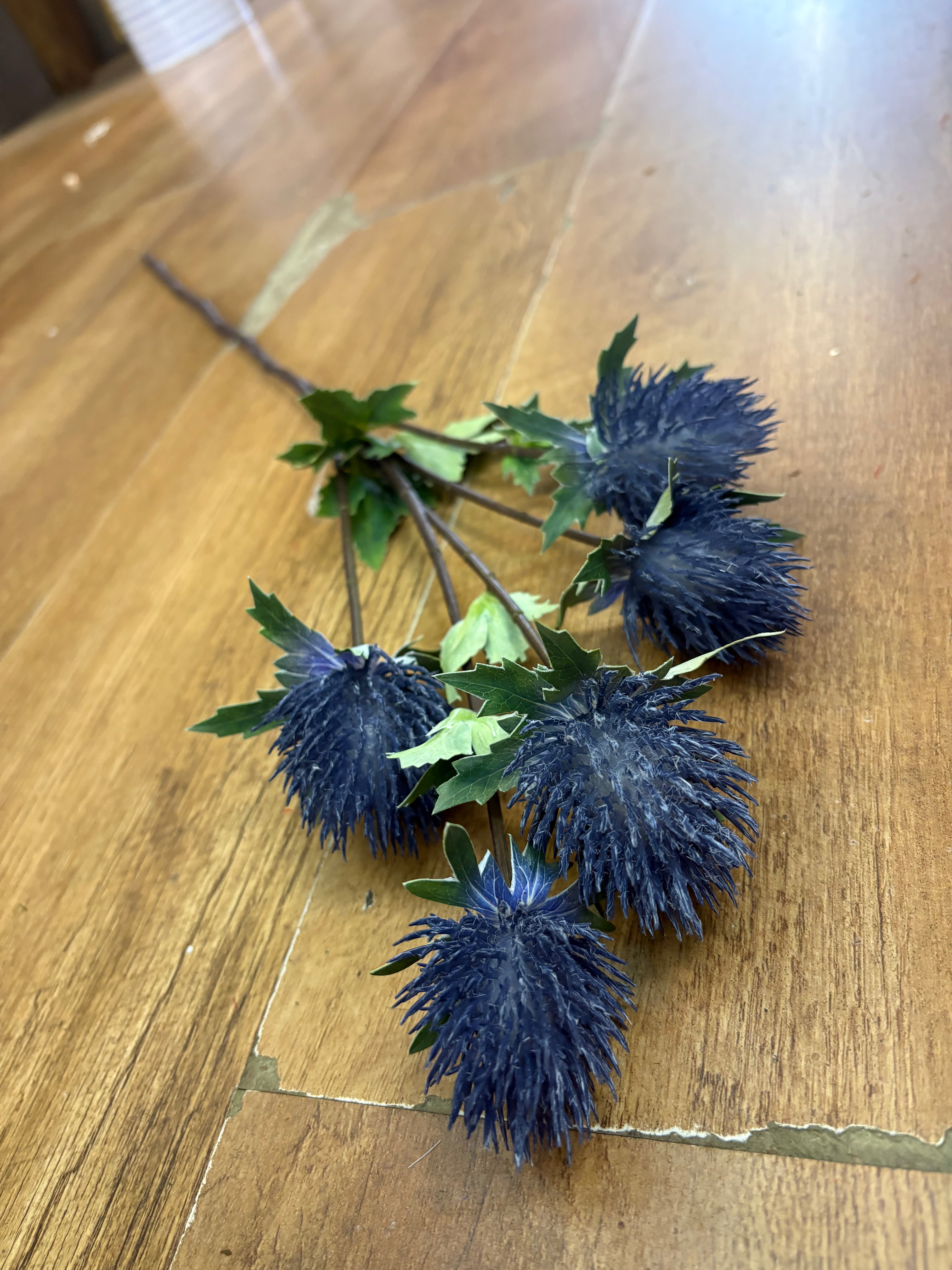 75cm tall 5 headed blue premium thistle spray