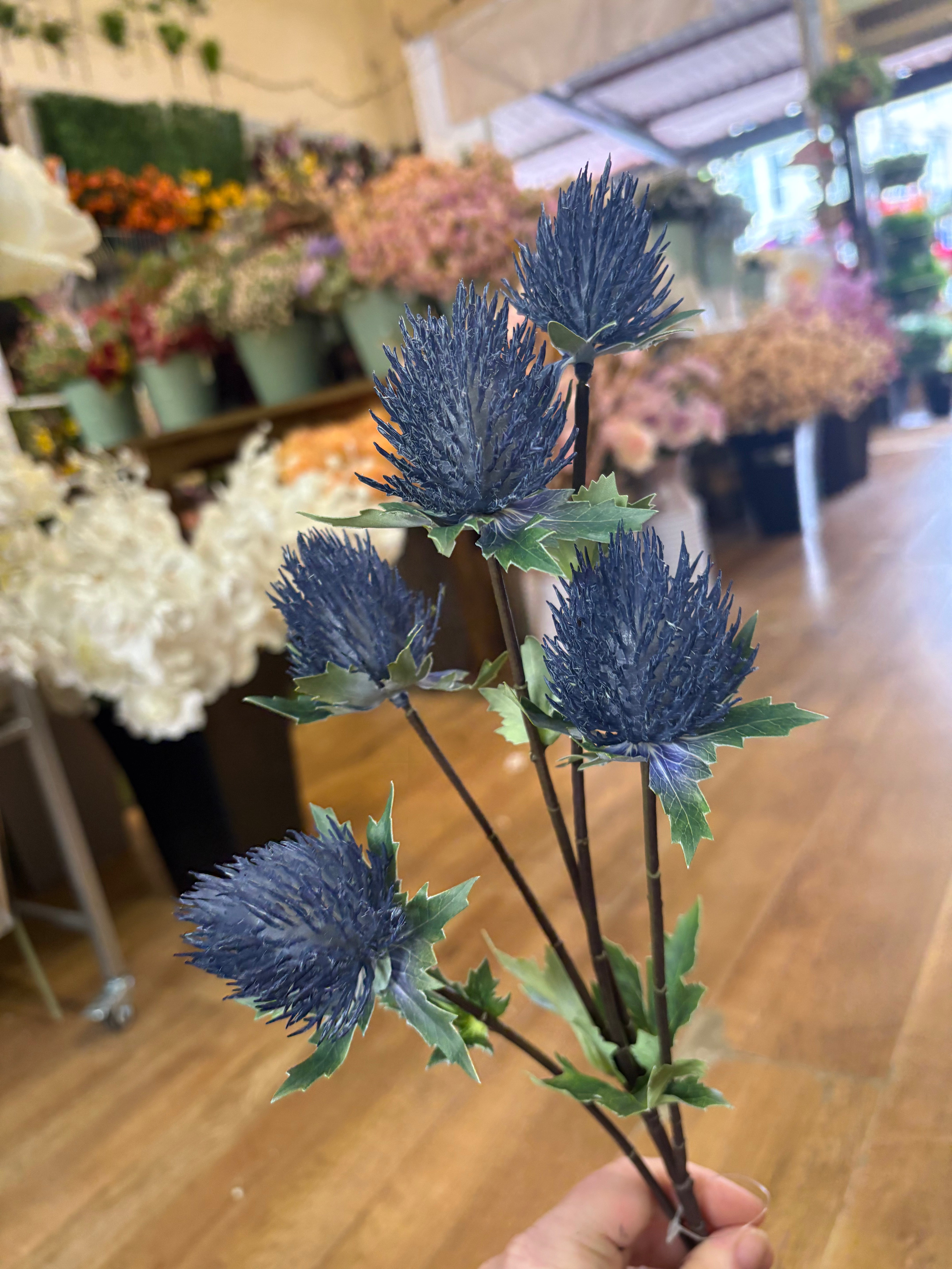 75cm tall 5 headed blue premium thistle spray