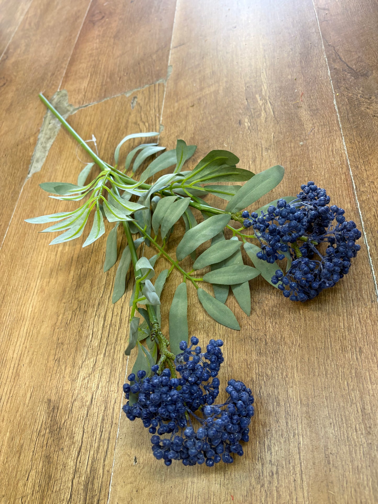 62cm tall blue premium elderberry spray