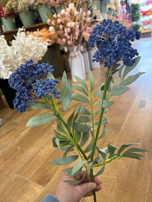62cm tall blue premium elderberry spray