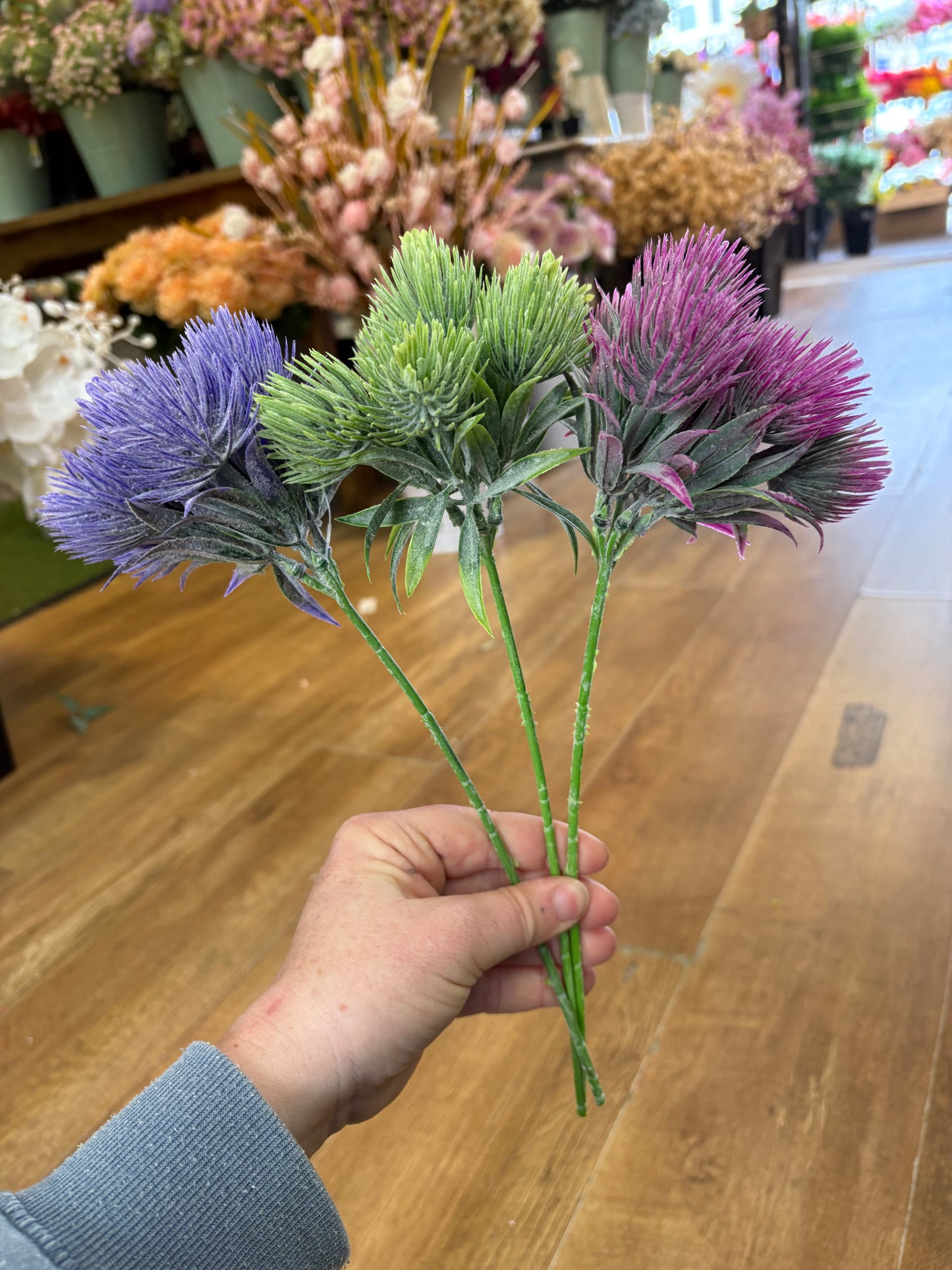 Tropic Thistle Stem (6 heads on a stem) - 3 colours available