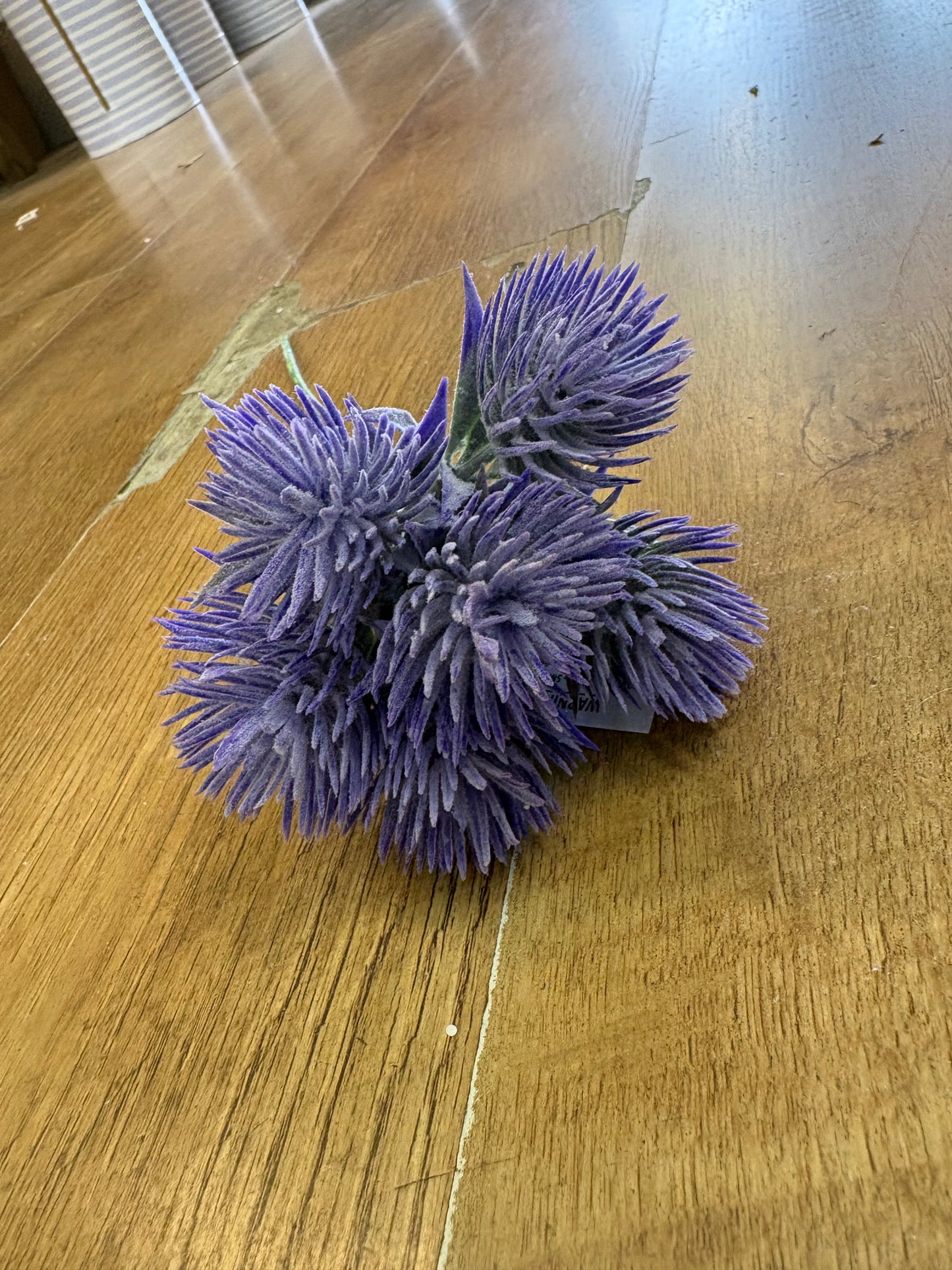 Tropic Thistle Stem (6 heads on a stem) - 3 colours available