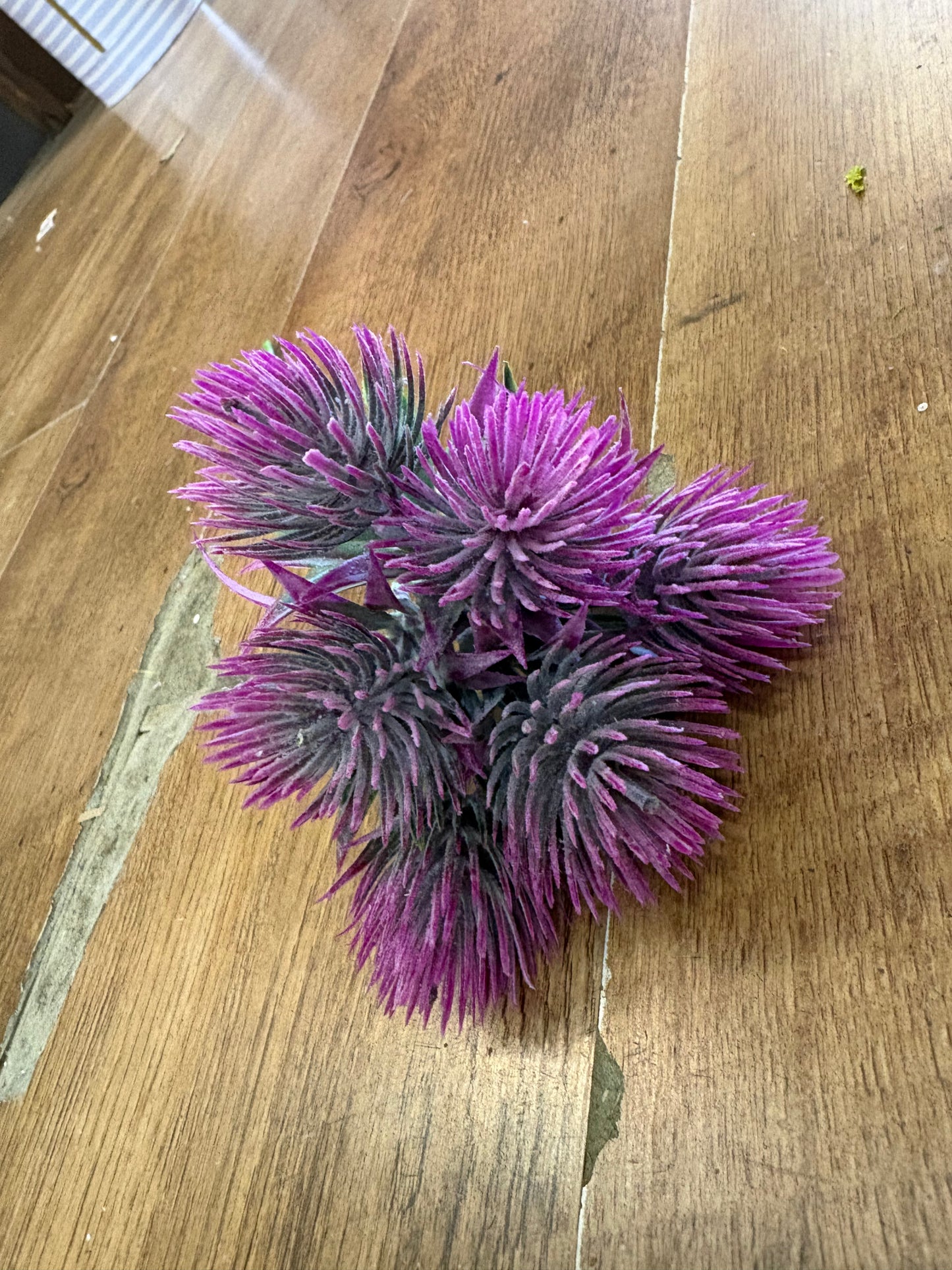Tropic Thistle Stem (6 heads on a stem) - 3 colours available