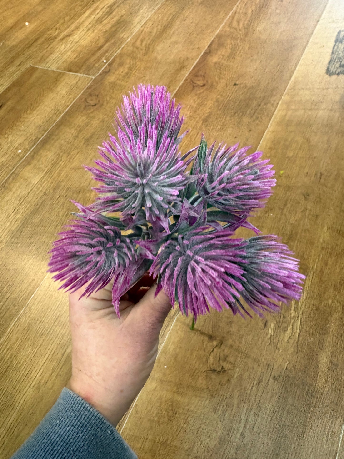 Tropic Thistle Stem (6 heads on a stem) - 3 colours available