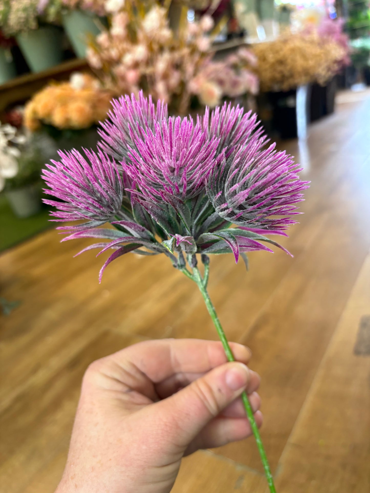 Tropic Thistle Stem (6 heads on a stem) - 3 colours available
