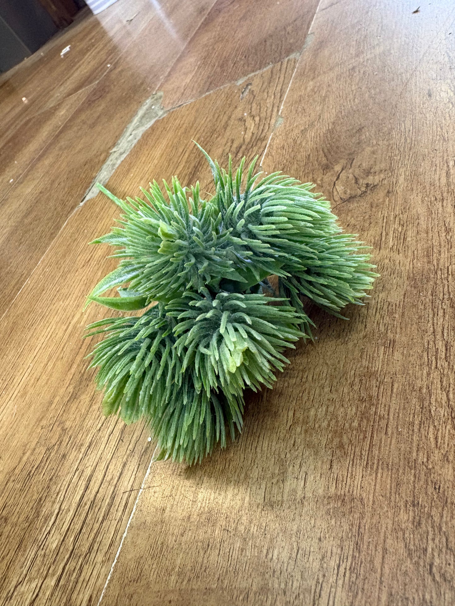Tropic Thistle Stem (6 heads on a stem) - 3 colours available