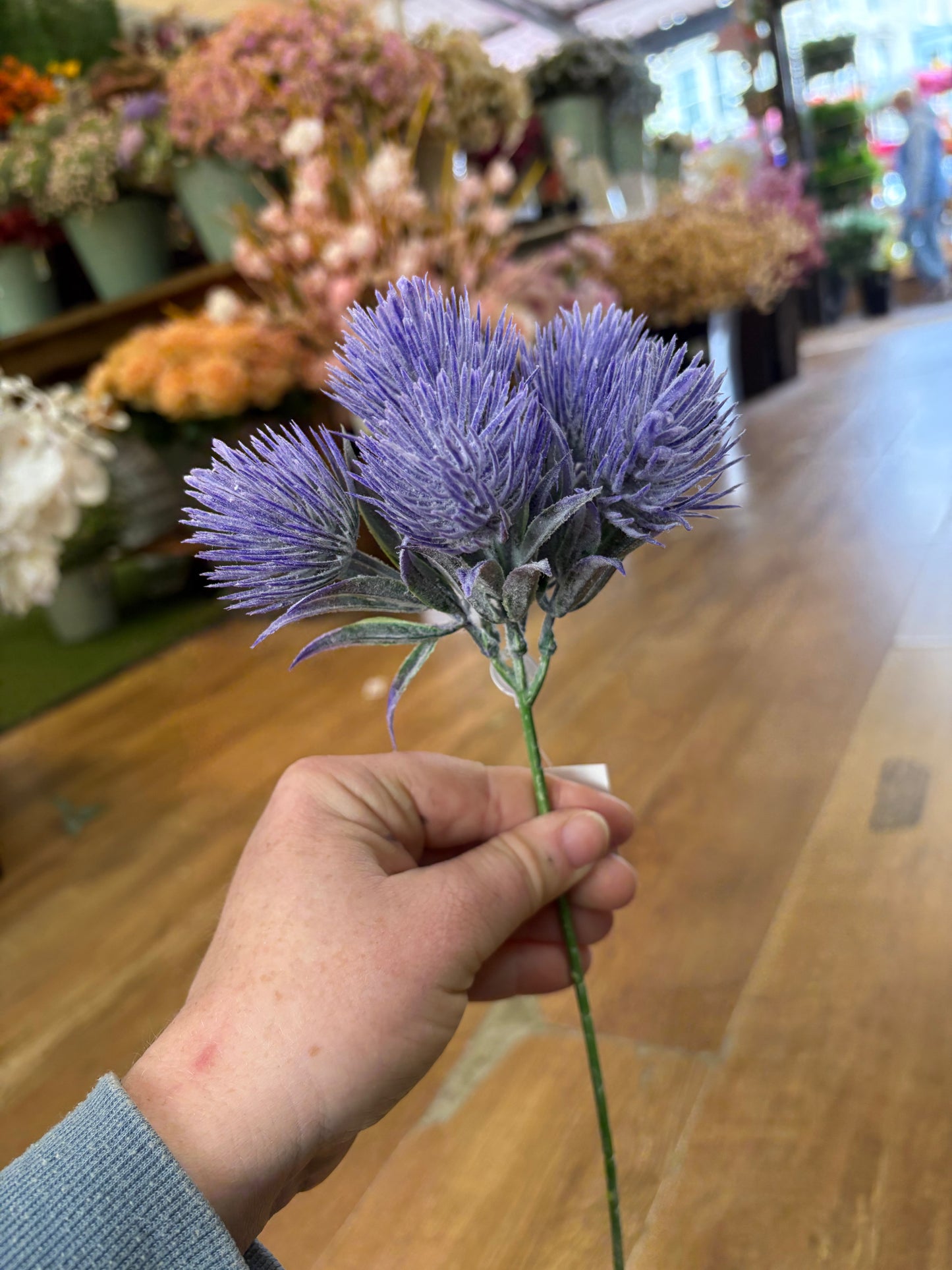 Tropic Thistle Stem (6 heads on a stem) - 3 colours available
