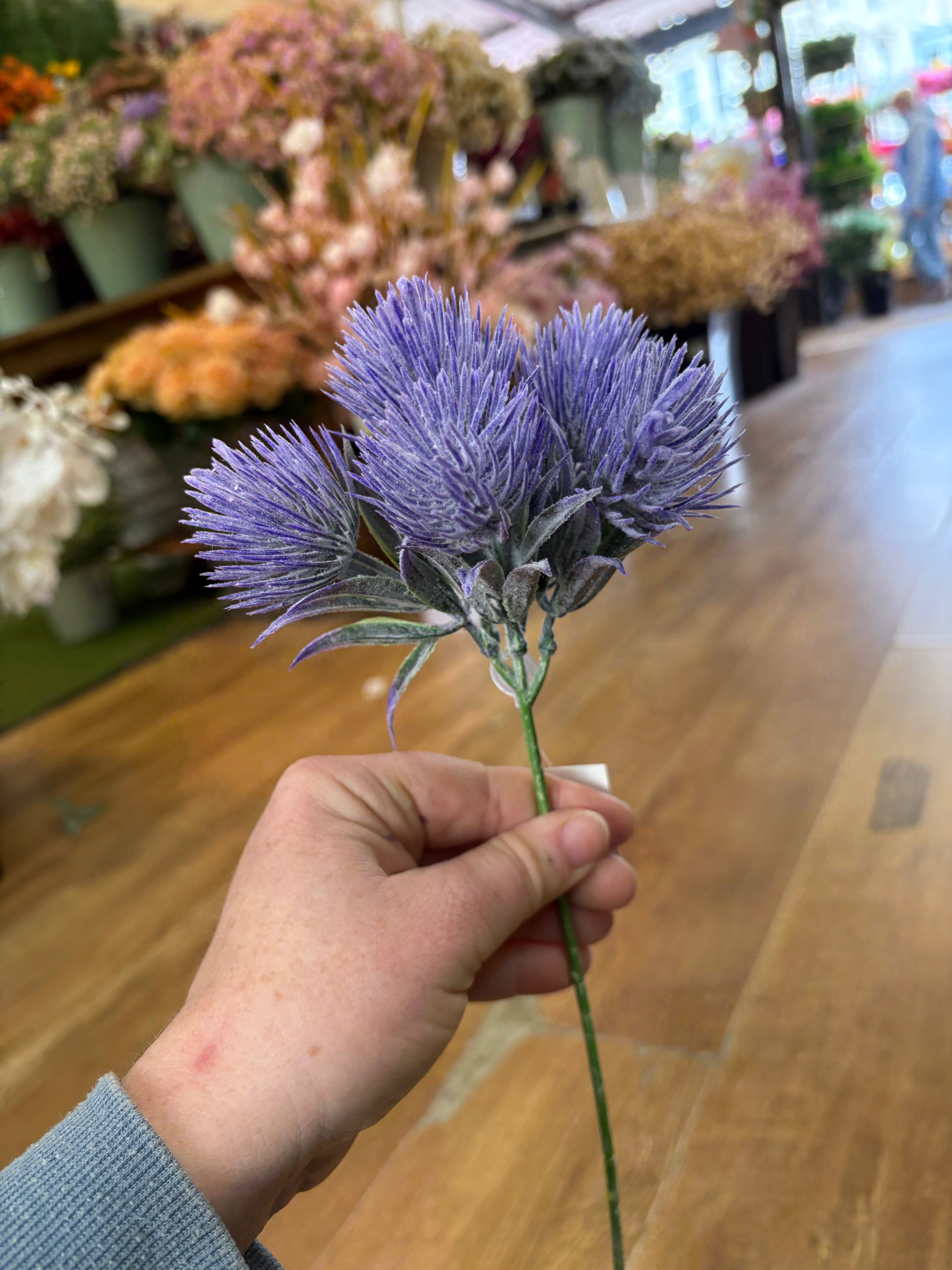 Tropic Thistle Stem (6 heads on a stem) - 3 colours available