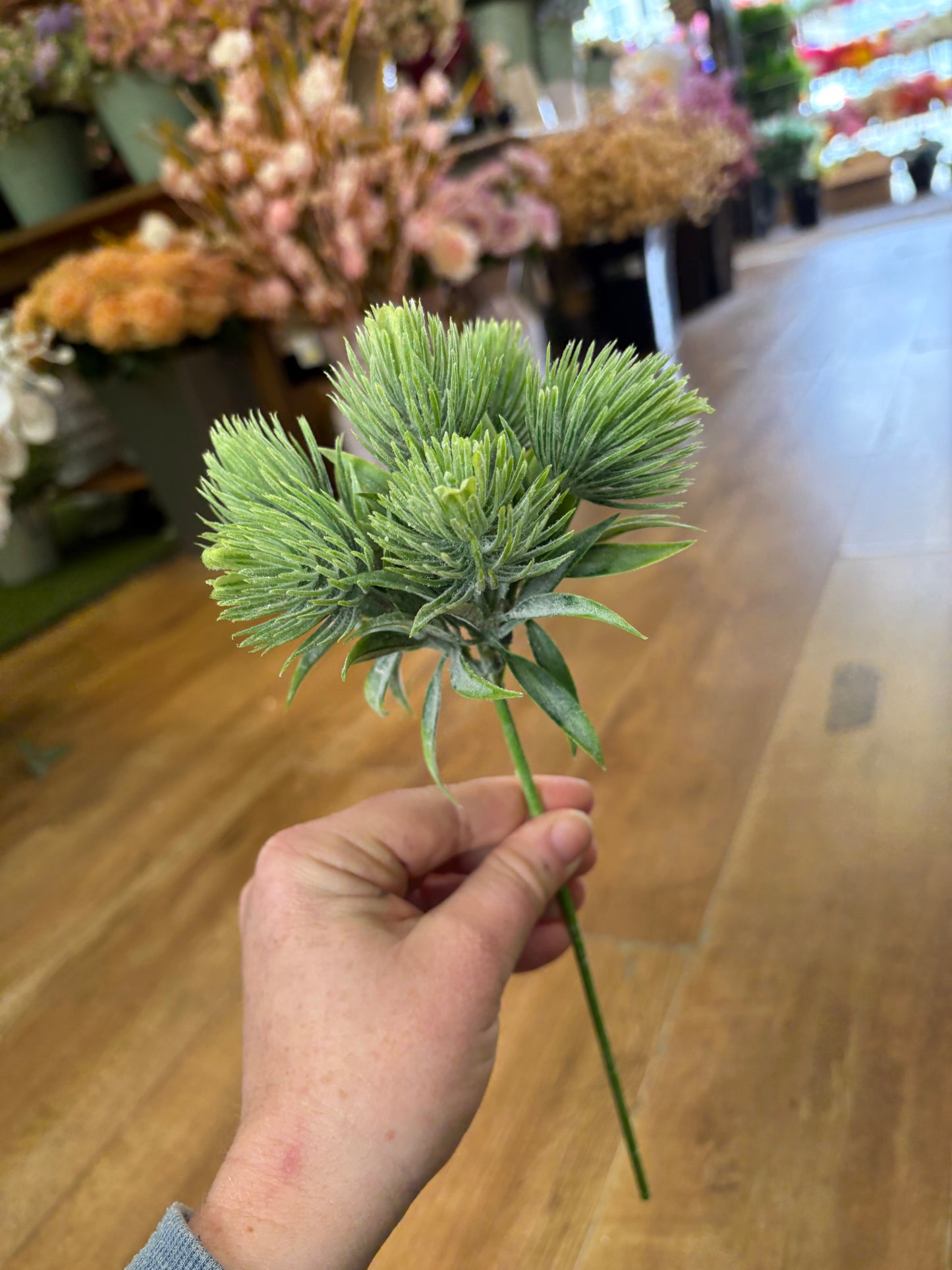 Tropic Thistle Stem (6 heads on a stem) - 3 colours available