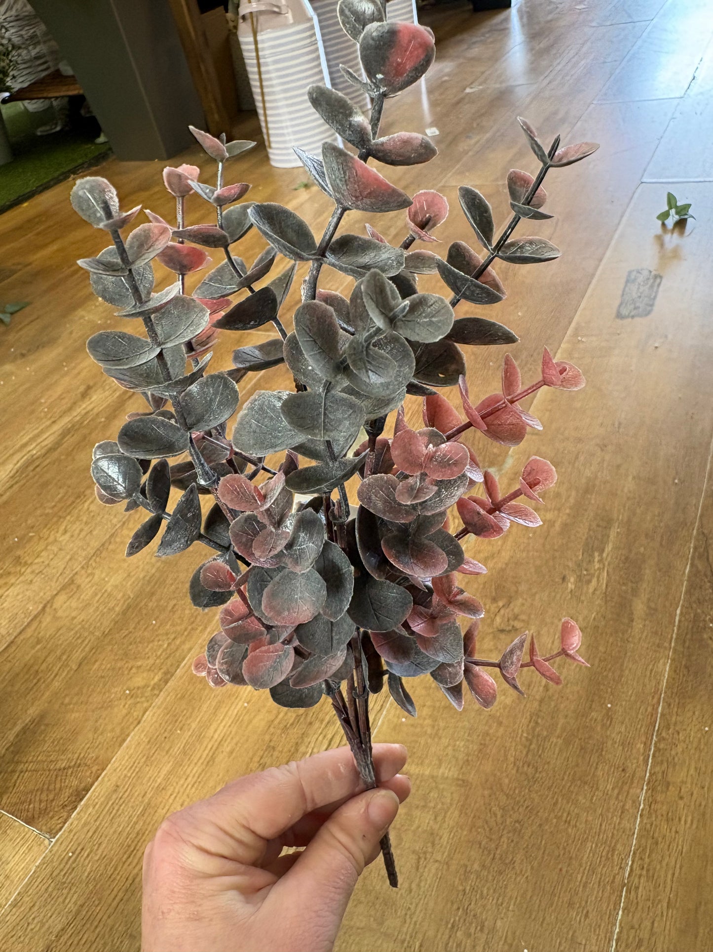 Autumnal eucalyptus bunch - 3 colours available