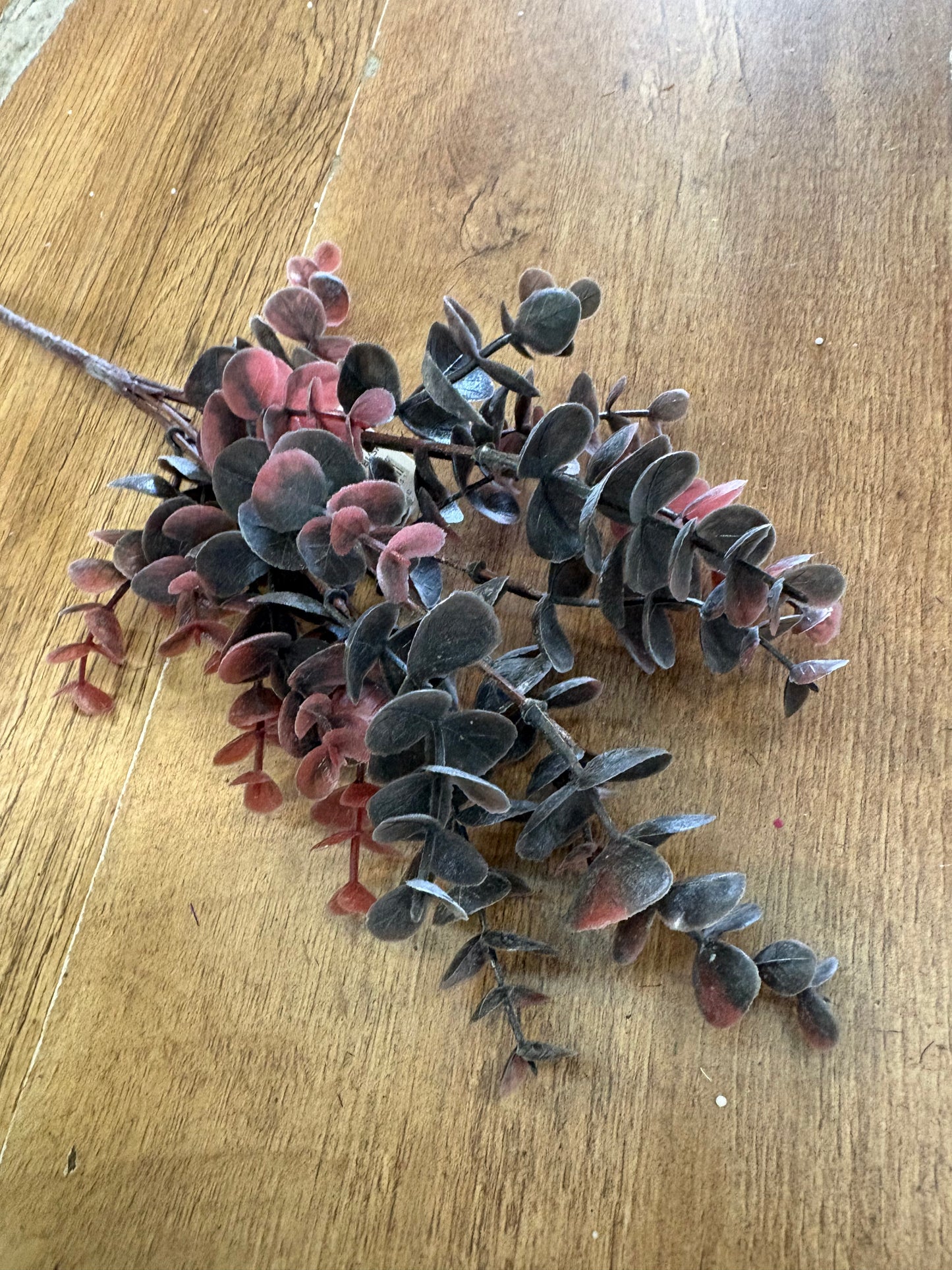 Autumnal eucalyptus bunch - 3 colours available