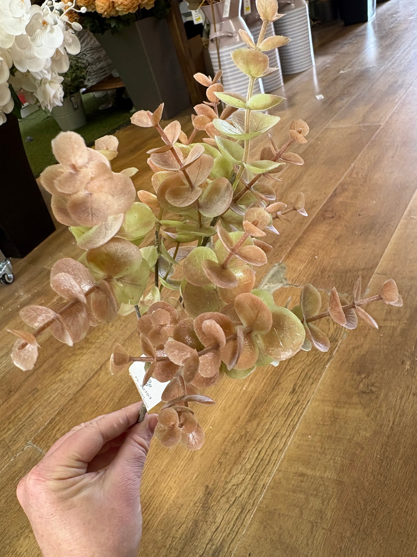 Autumnal eucalyptus bunch - 3 colours available
