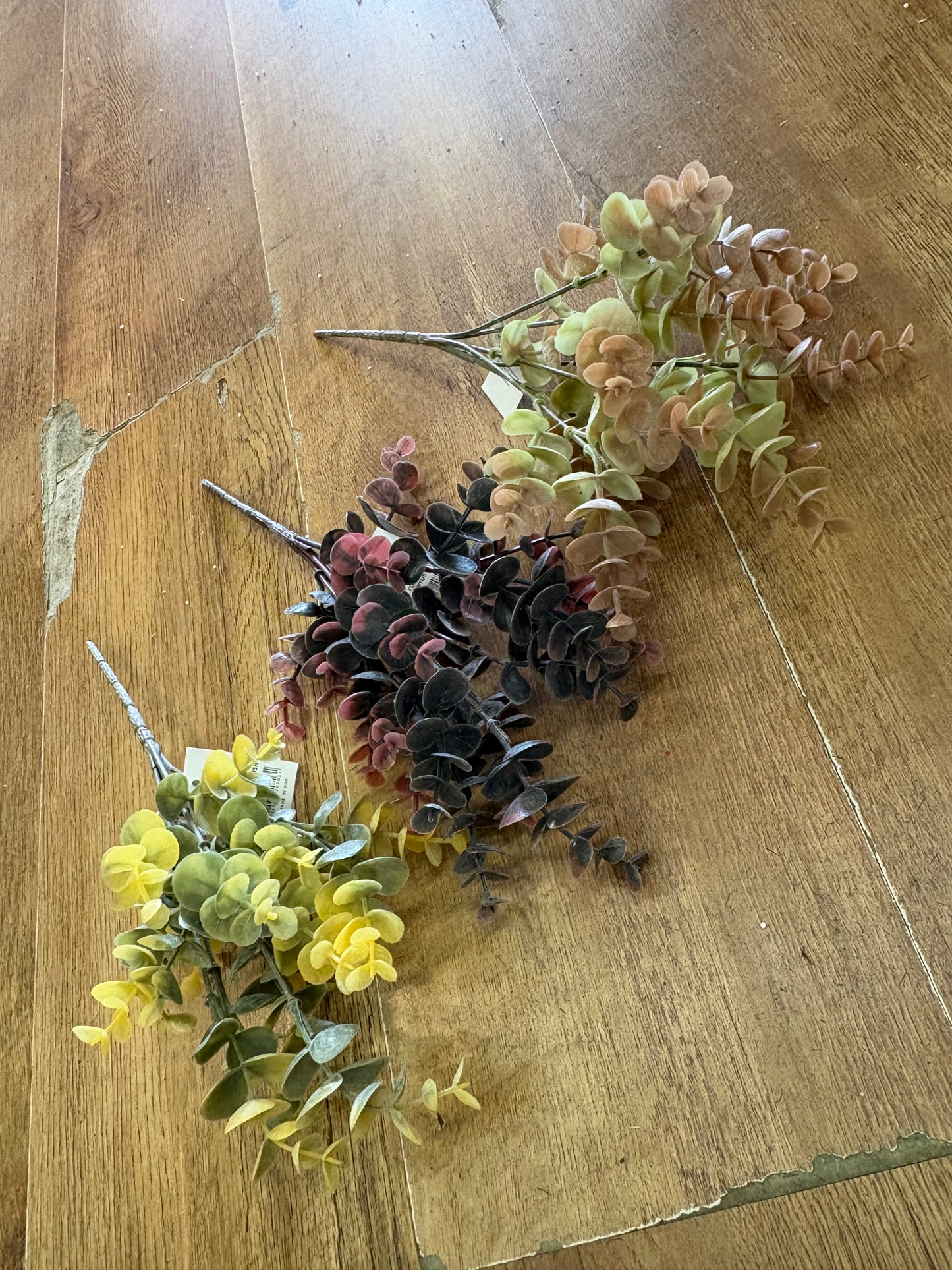 Autumnal eucalyptus bunch - 3 colours available