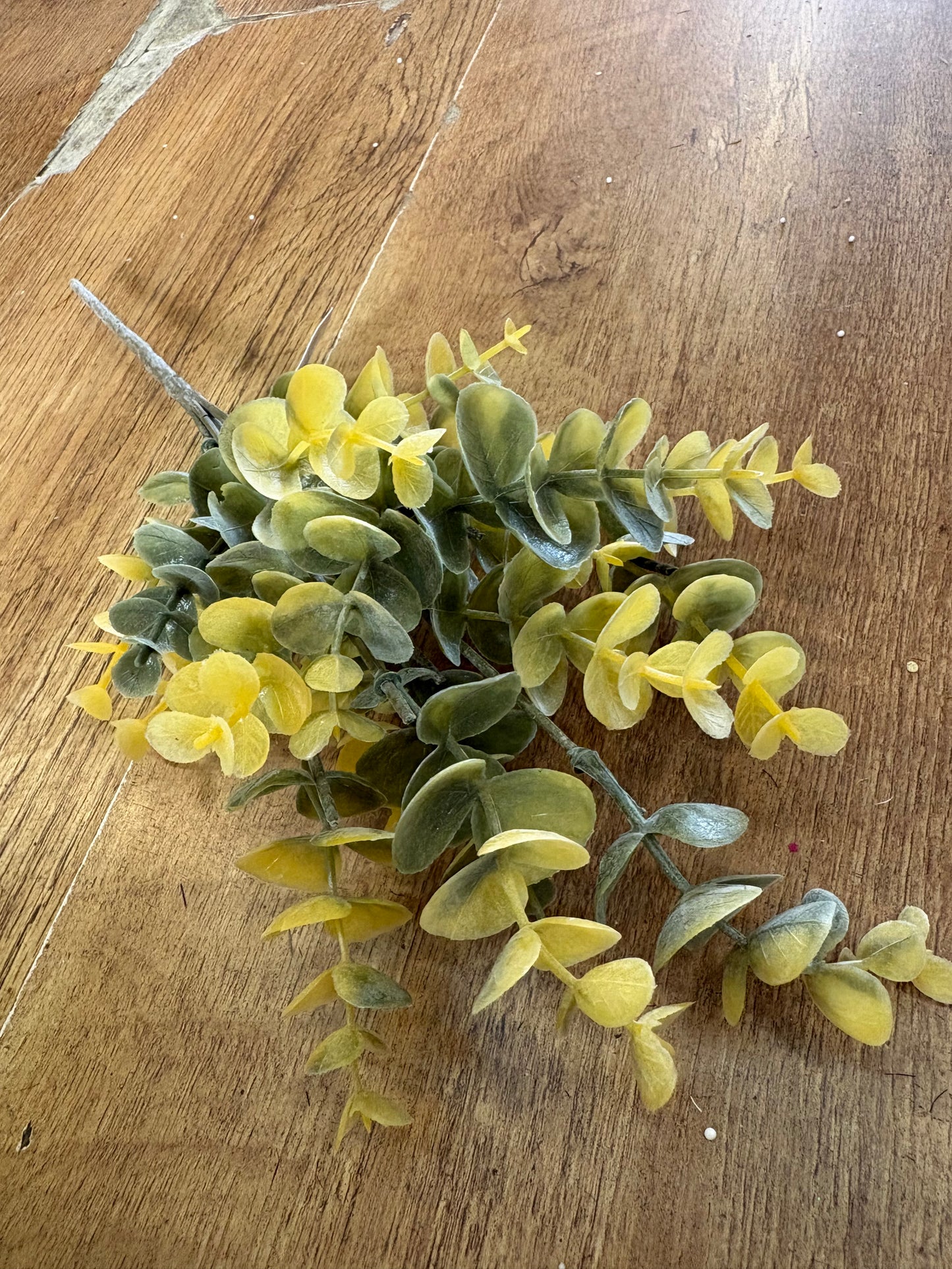 Autumnal eucalyptus bunch - 3 colours available