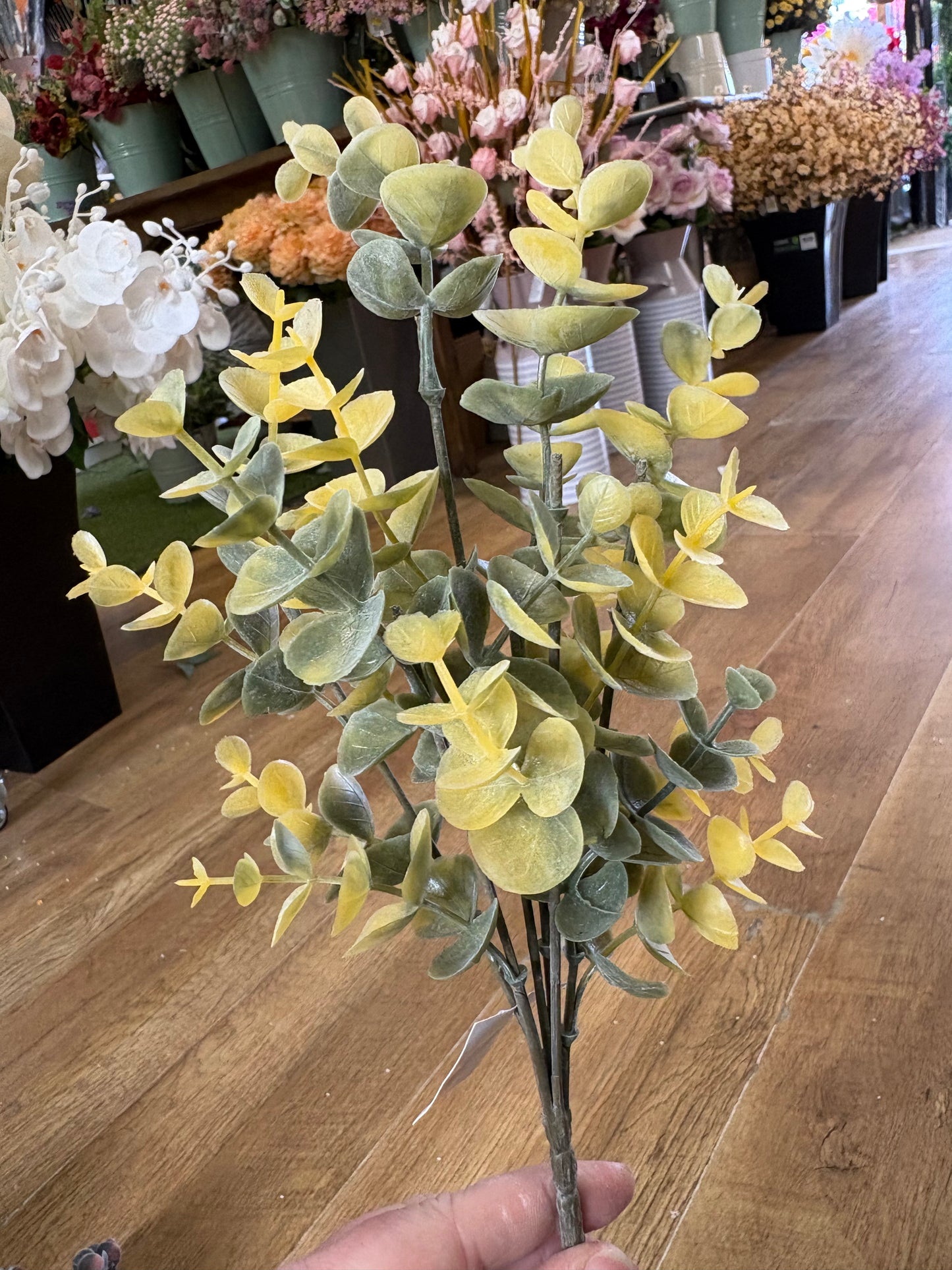 Autumnal eucalyptus bunch - 3 colours available