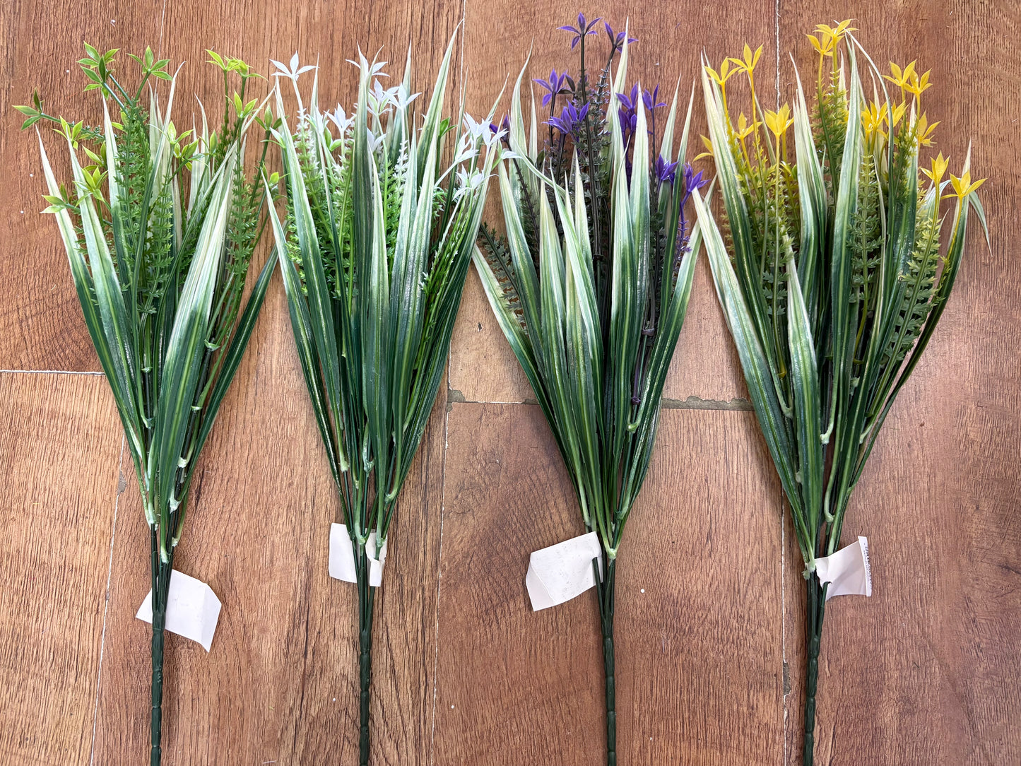 Cyperus Longus - 4 colours available