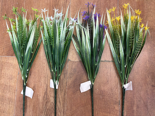 Cyperus Longus - 4 colours available