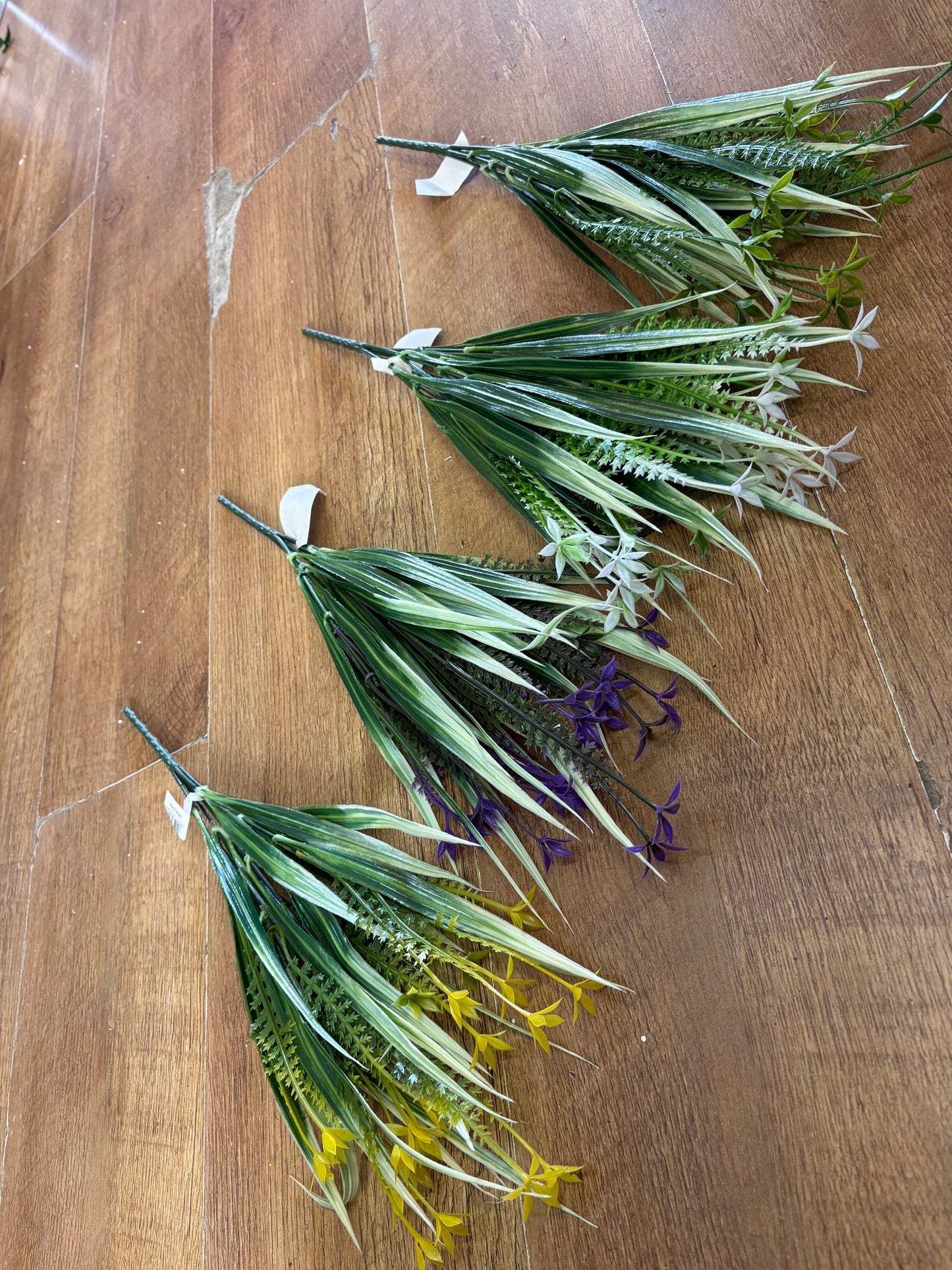 Cyperus Longus - 4 colours available