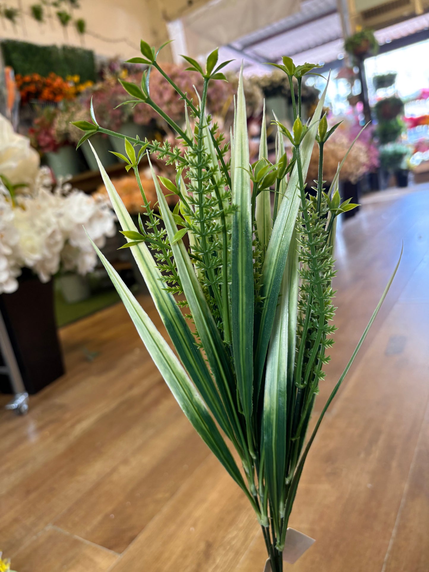 Cyperus Longus - 4 colours available