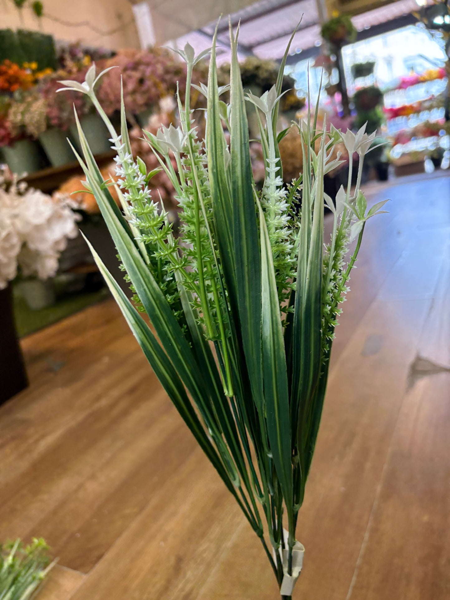 Cyperus Longus - 4 colours available