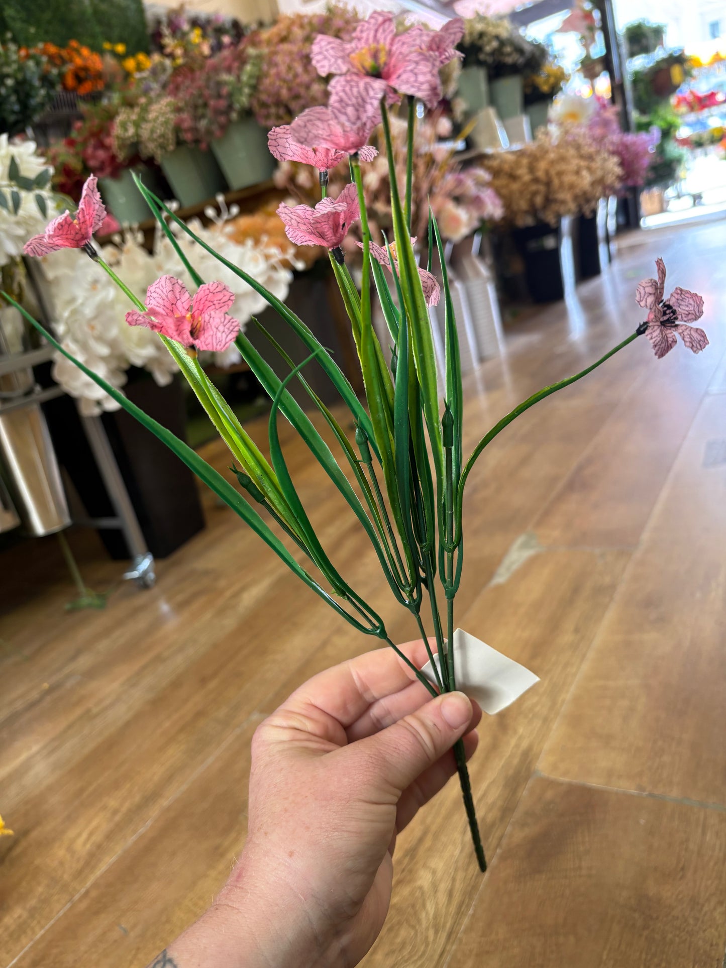 Cuban Bullrush bunch - 4 colours available
