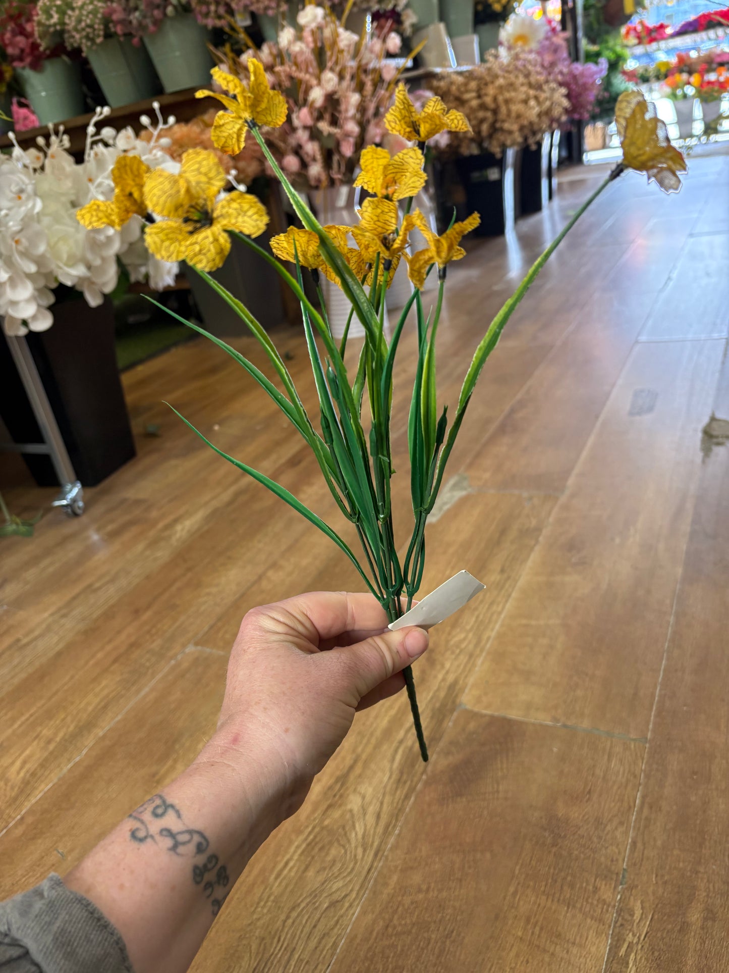 Cuban Bullrush bunch - 4 colours available