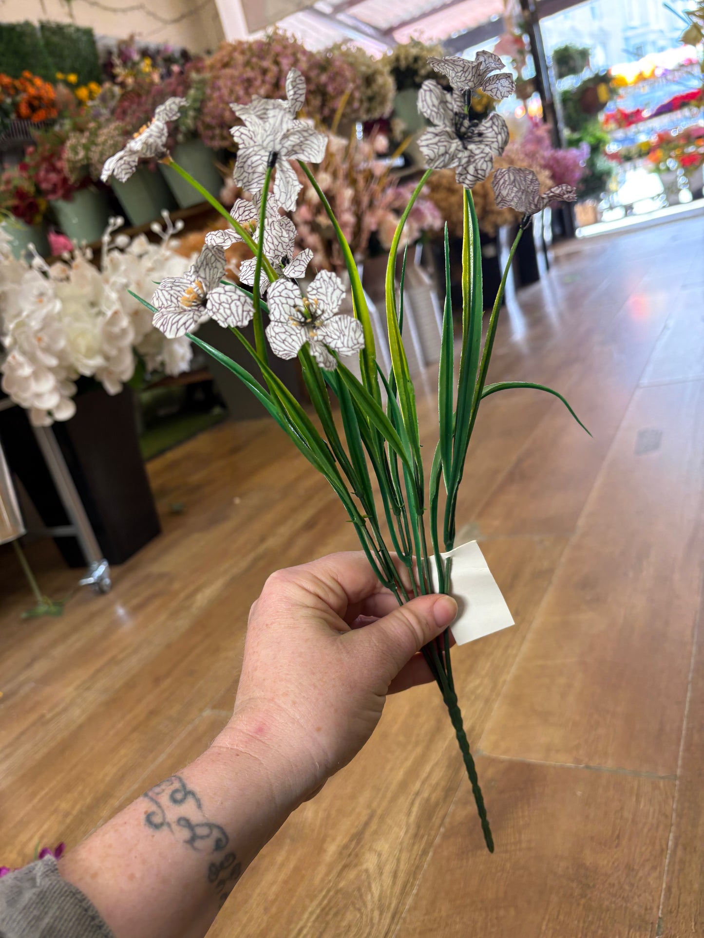 Cuban Bullrush bunch - 4 colours available