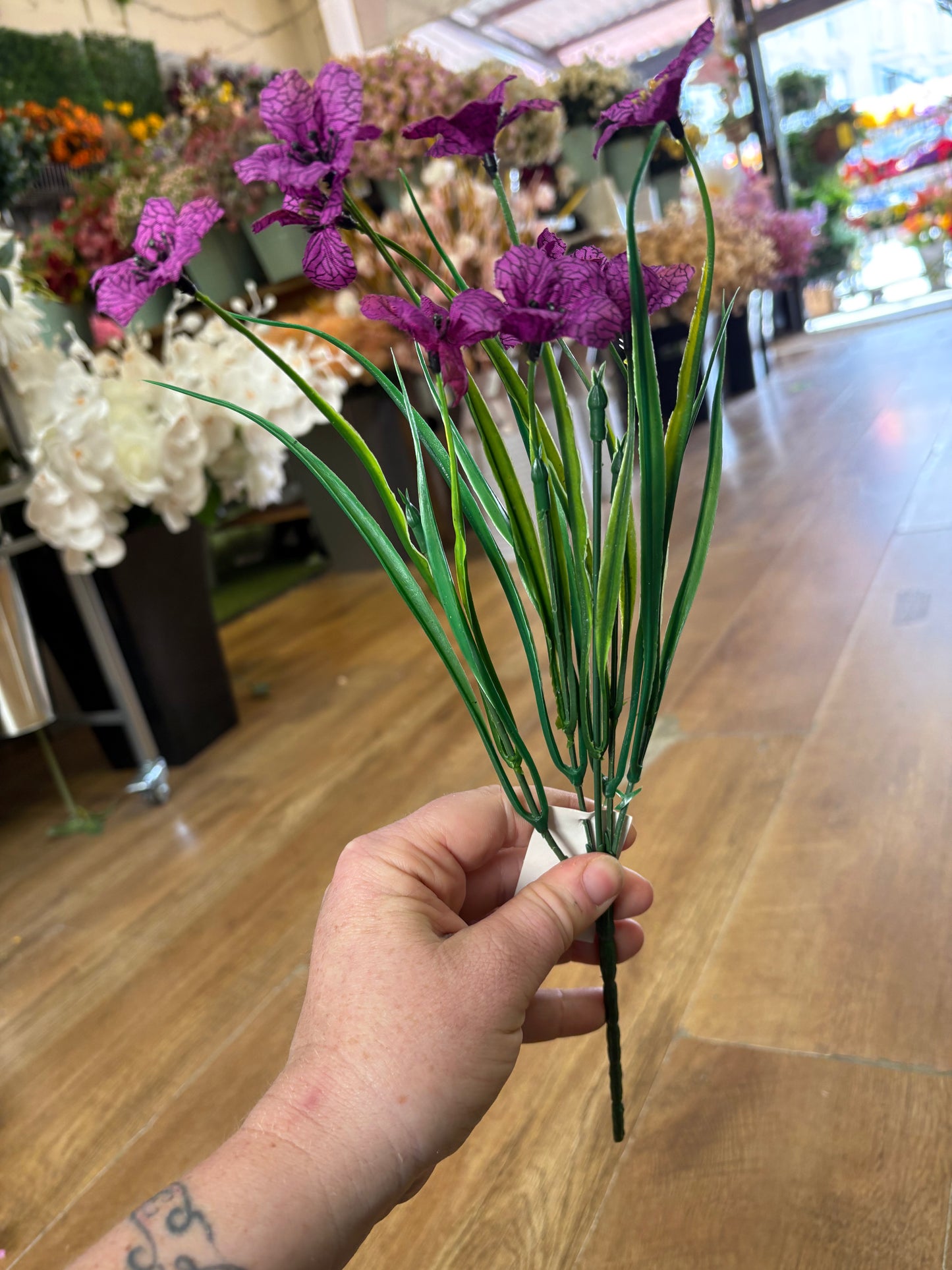 Cuban Bullrush bunch - 4 colours available