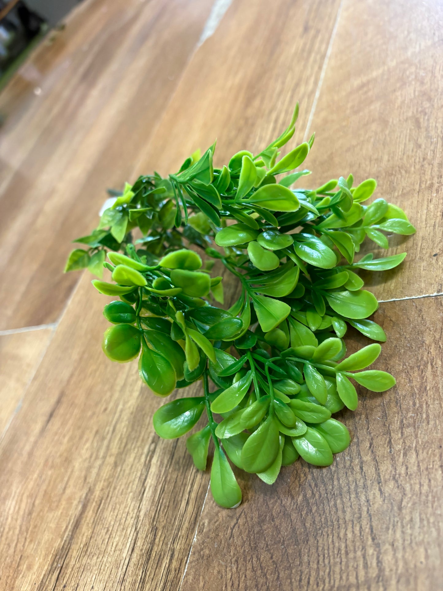Ruta greenery bunch - 2 colours available