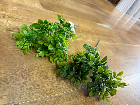 Ruta greenery bunch - 2 colours available