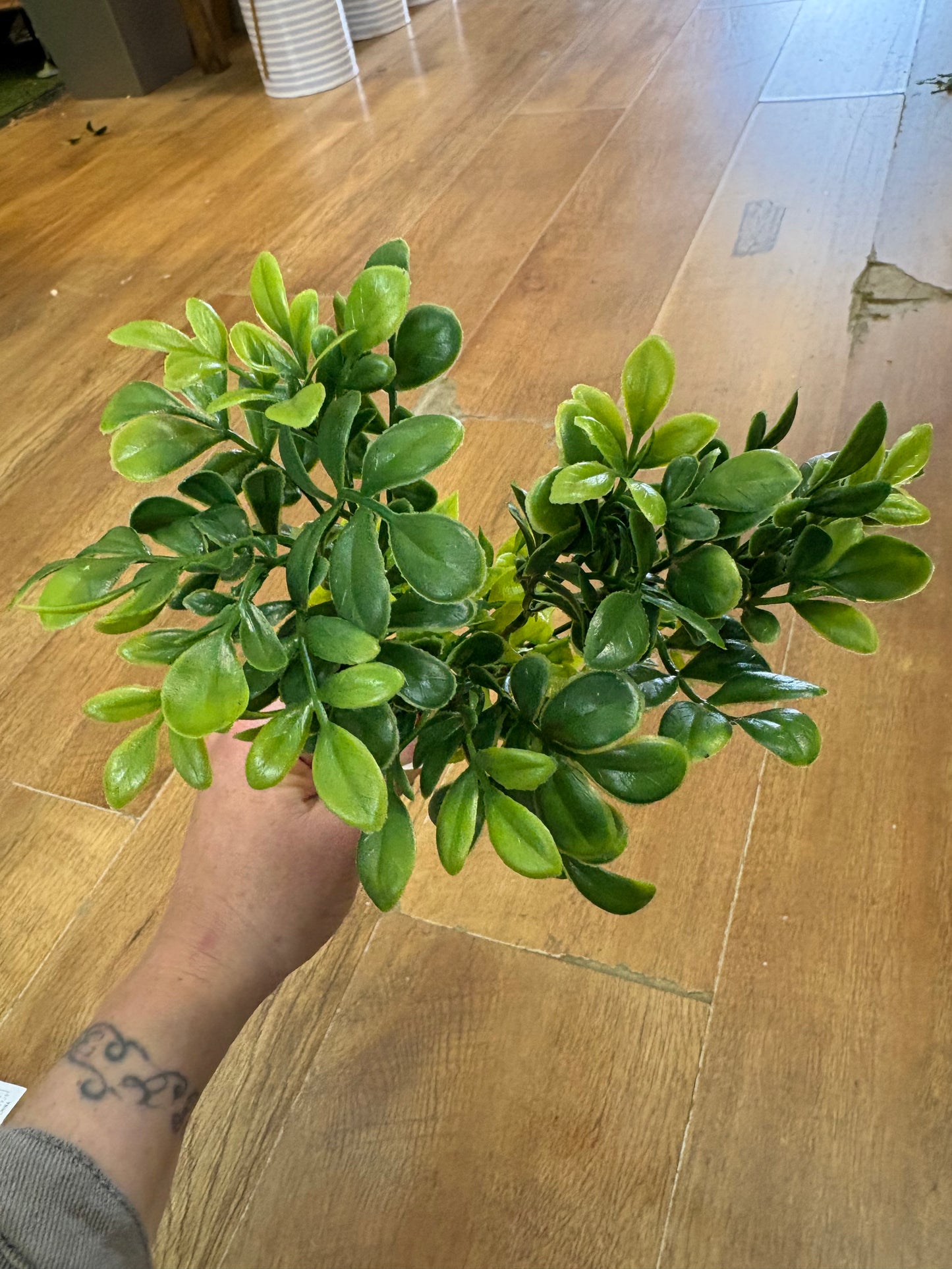 Ruta greenery bunch - 2 colours available