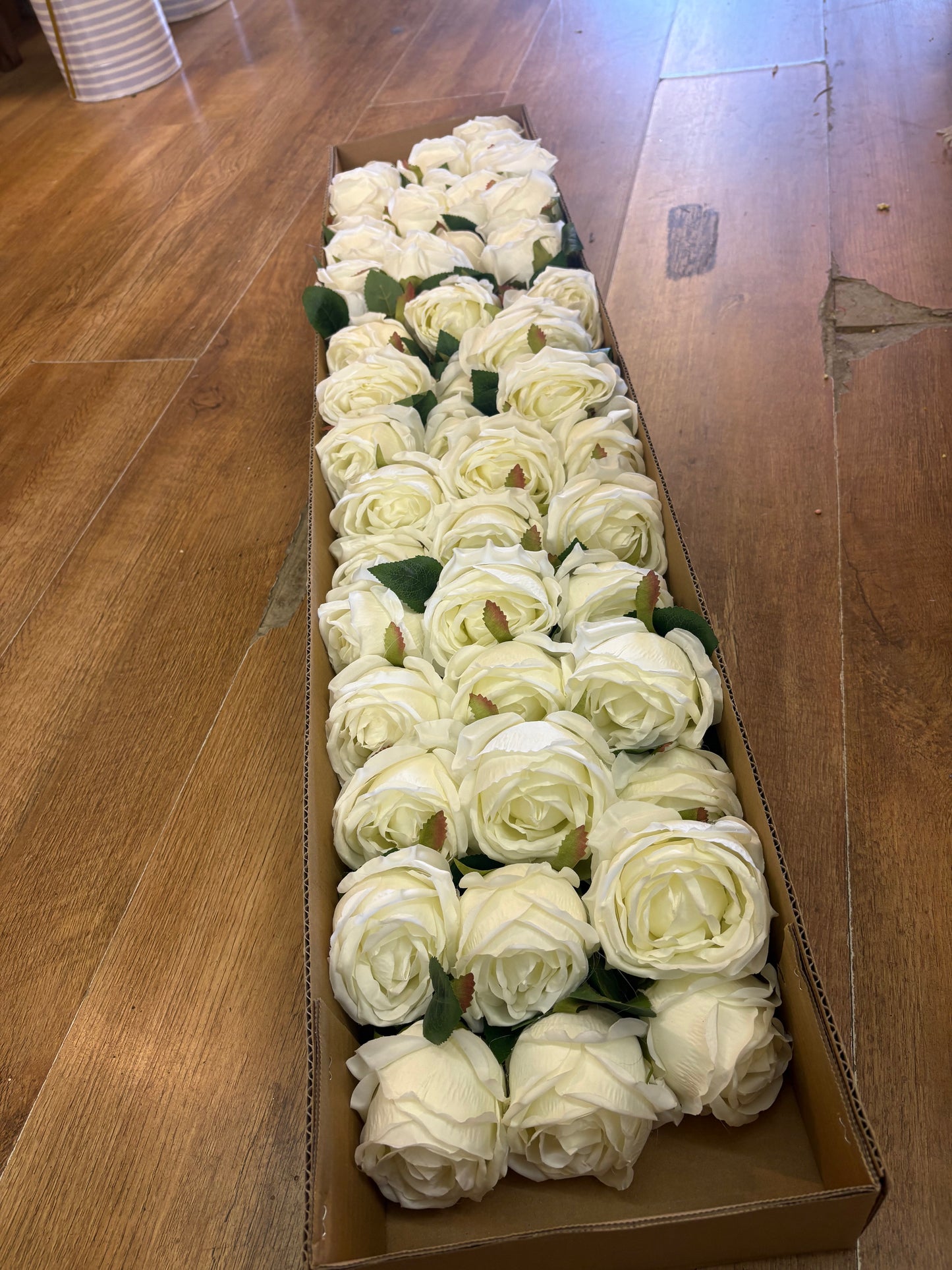 Box of 48 ivory globe roses (approx 8/9cm head)