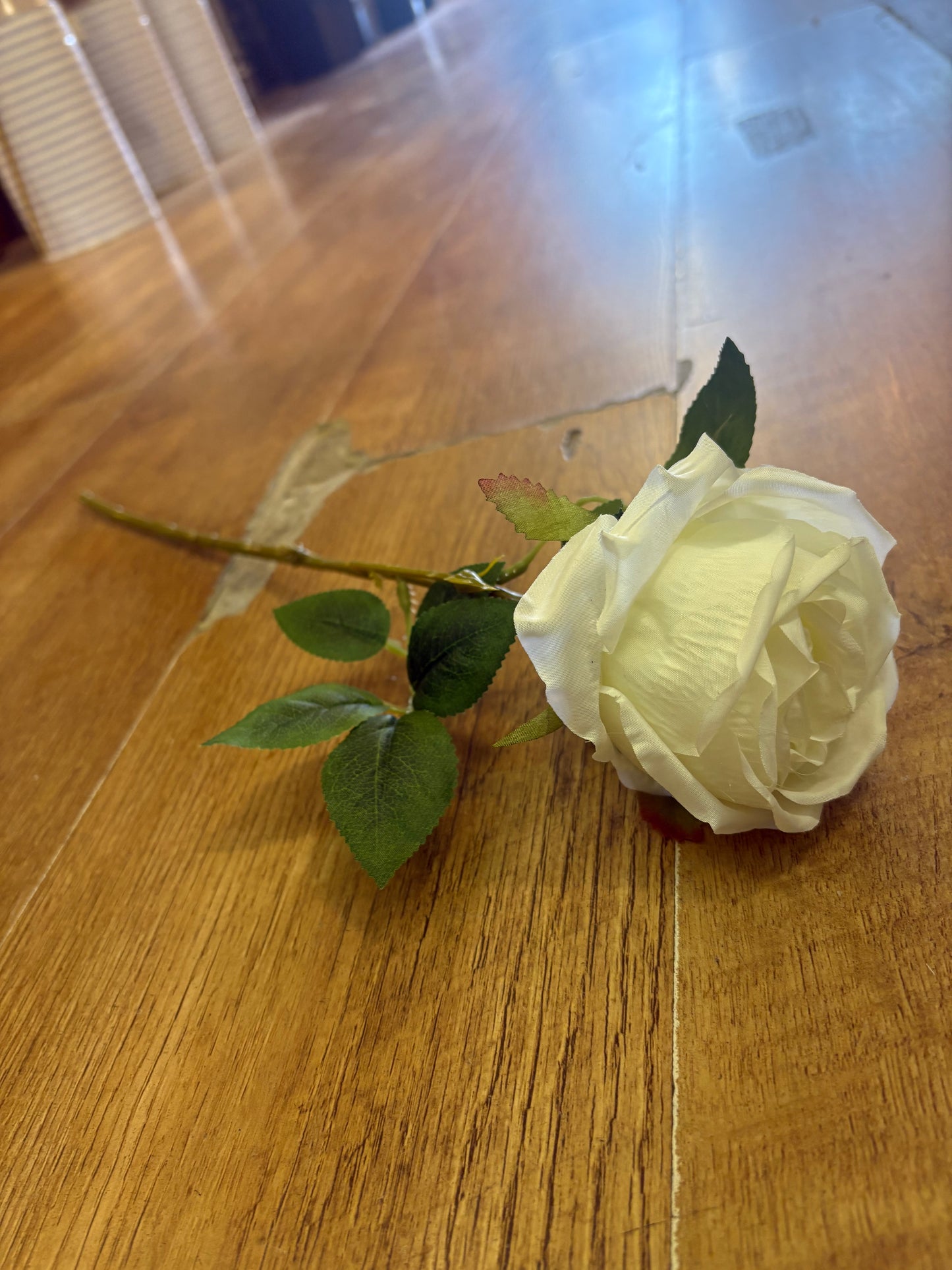 Single ivory globe rose (approx 8/9cm head)