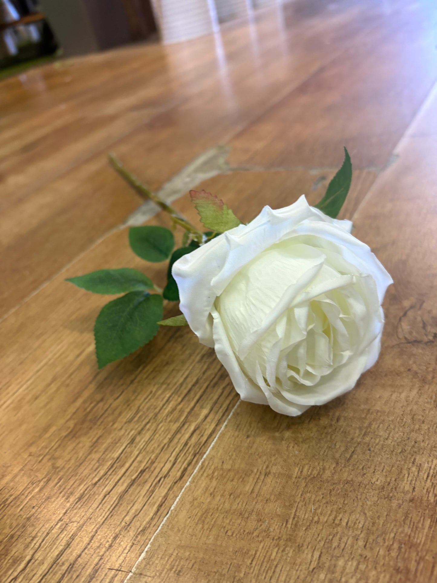 Single ivory globe rose (approx 8/9cm head)