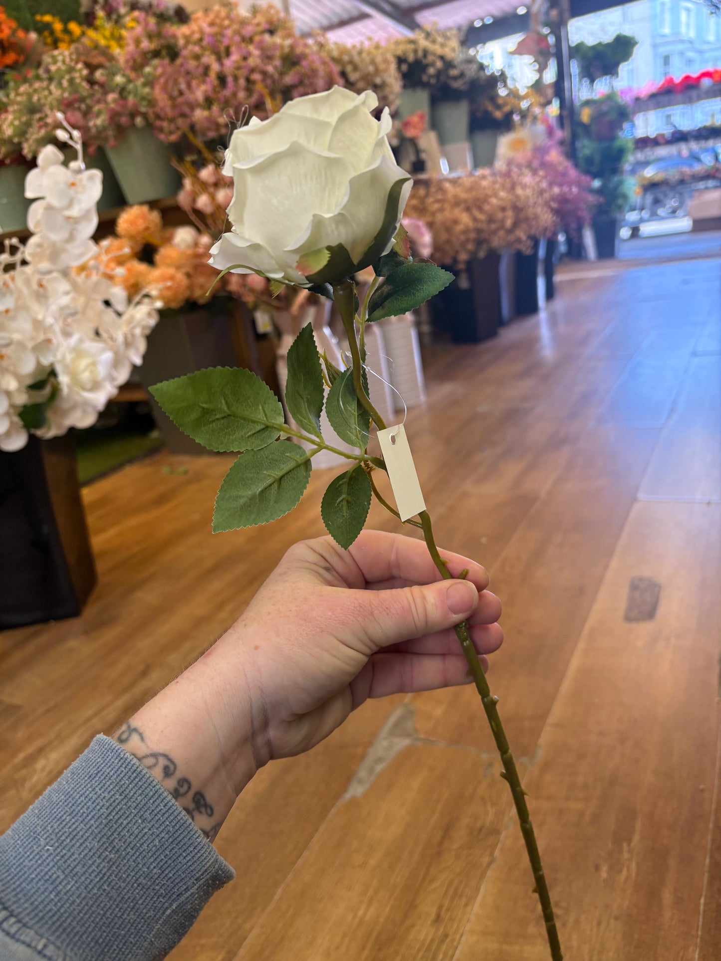 Box of 48 ivory globe roses (approx 8/9cm head)