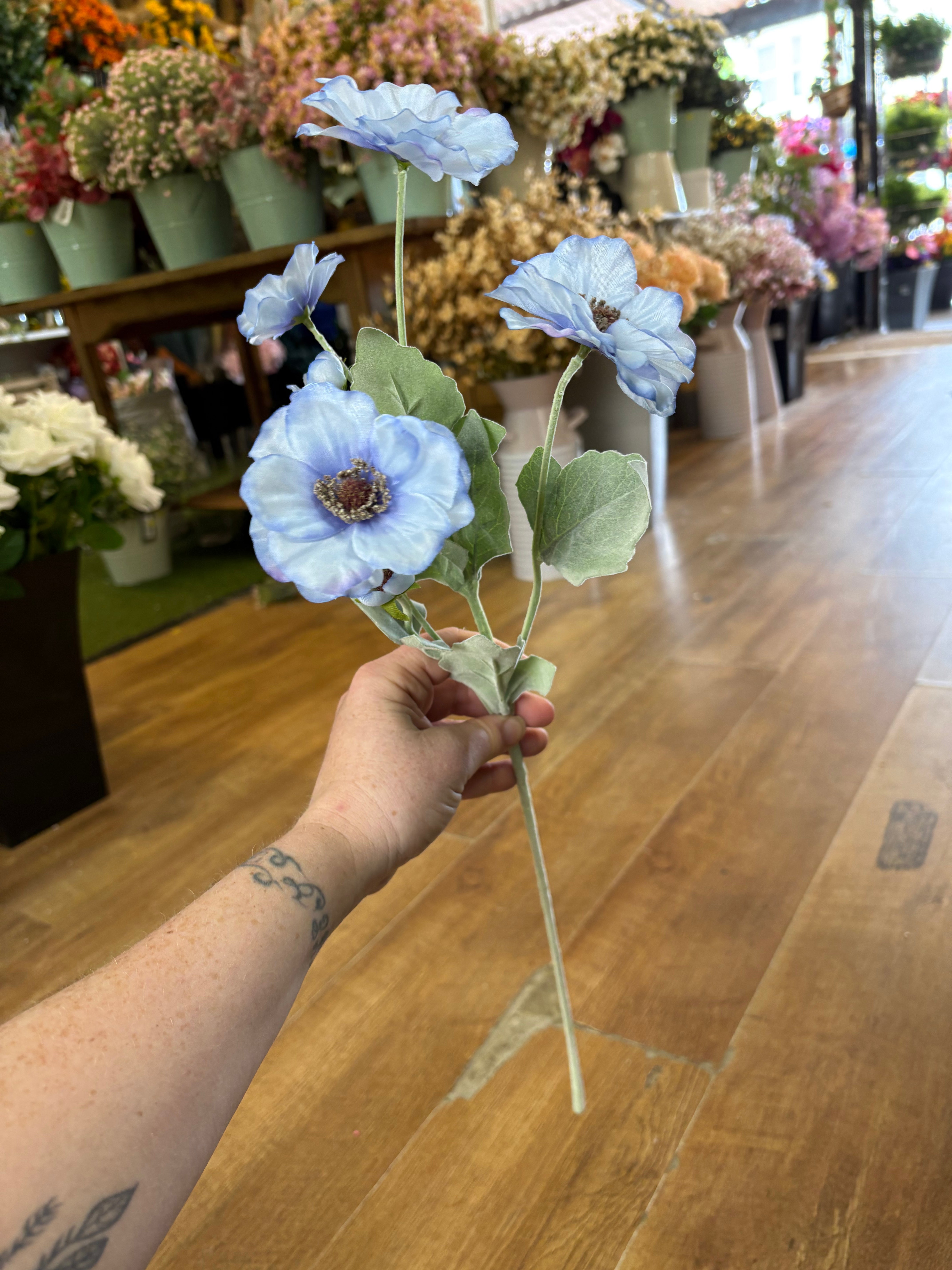 Long stem Blue Alessandra spray