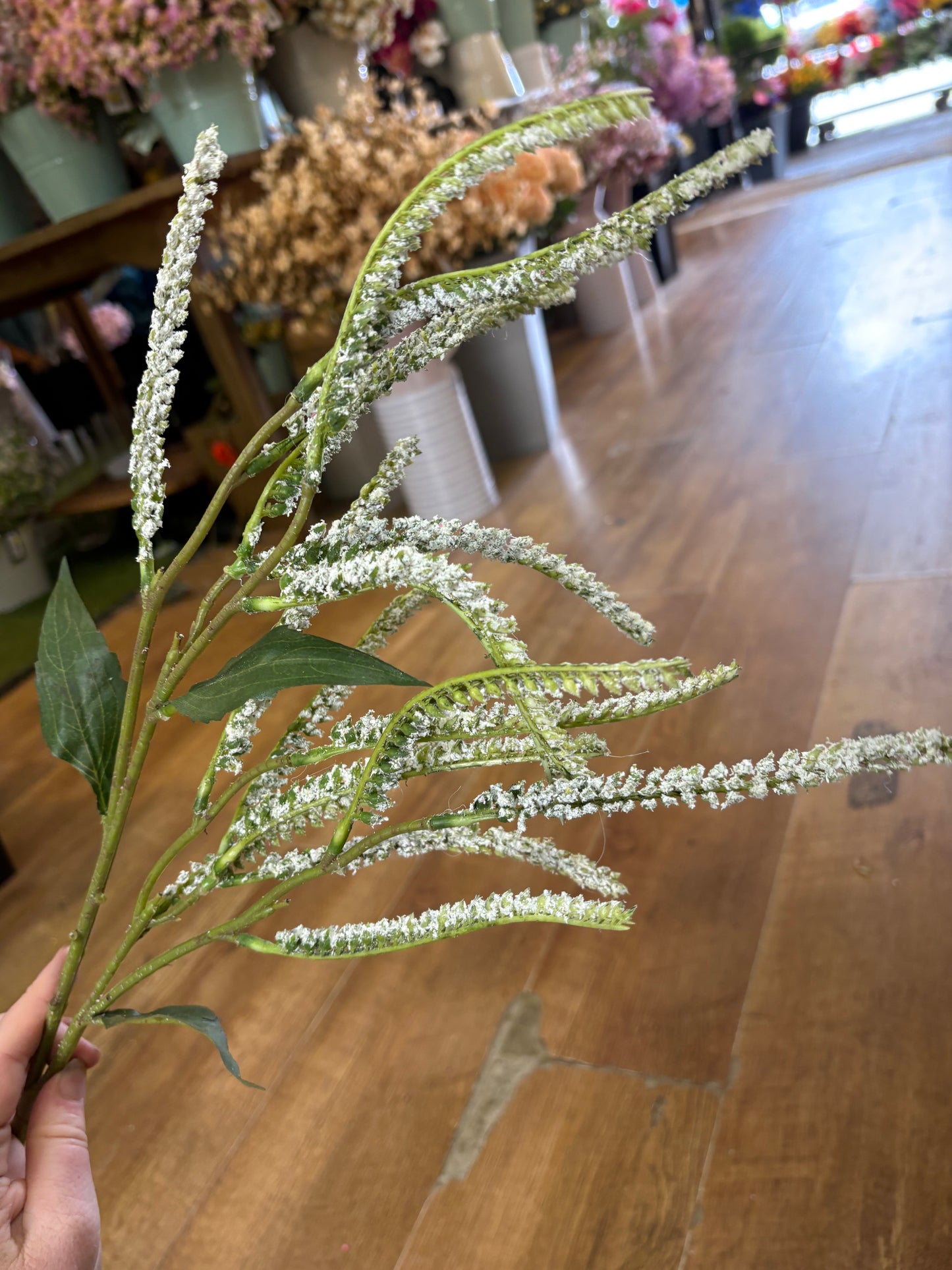 72cm white Salvia spray