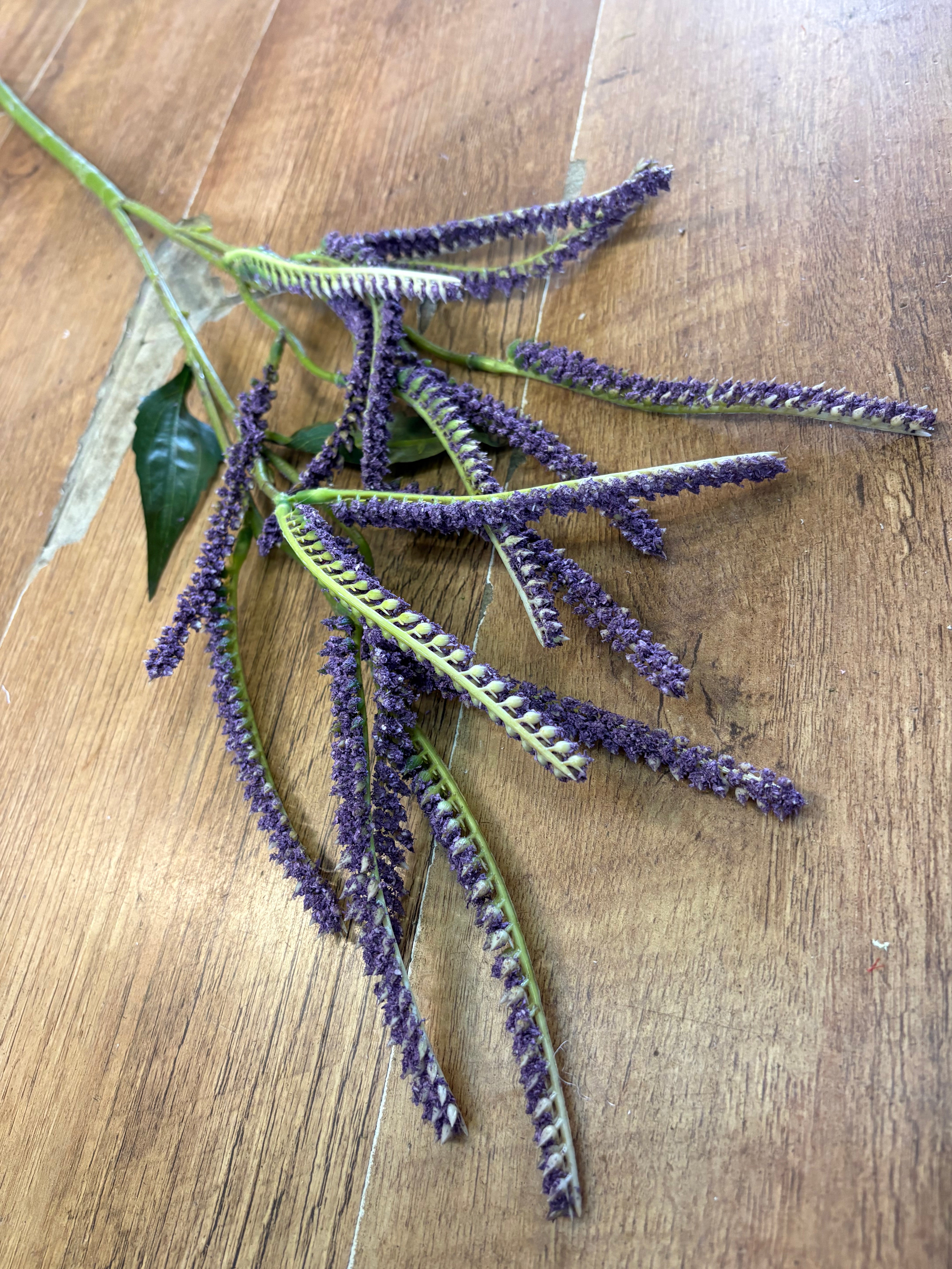 72cm purple salvia spray