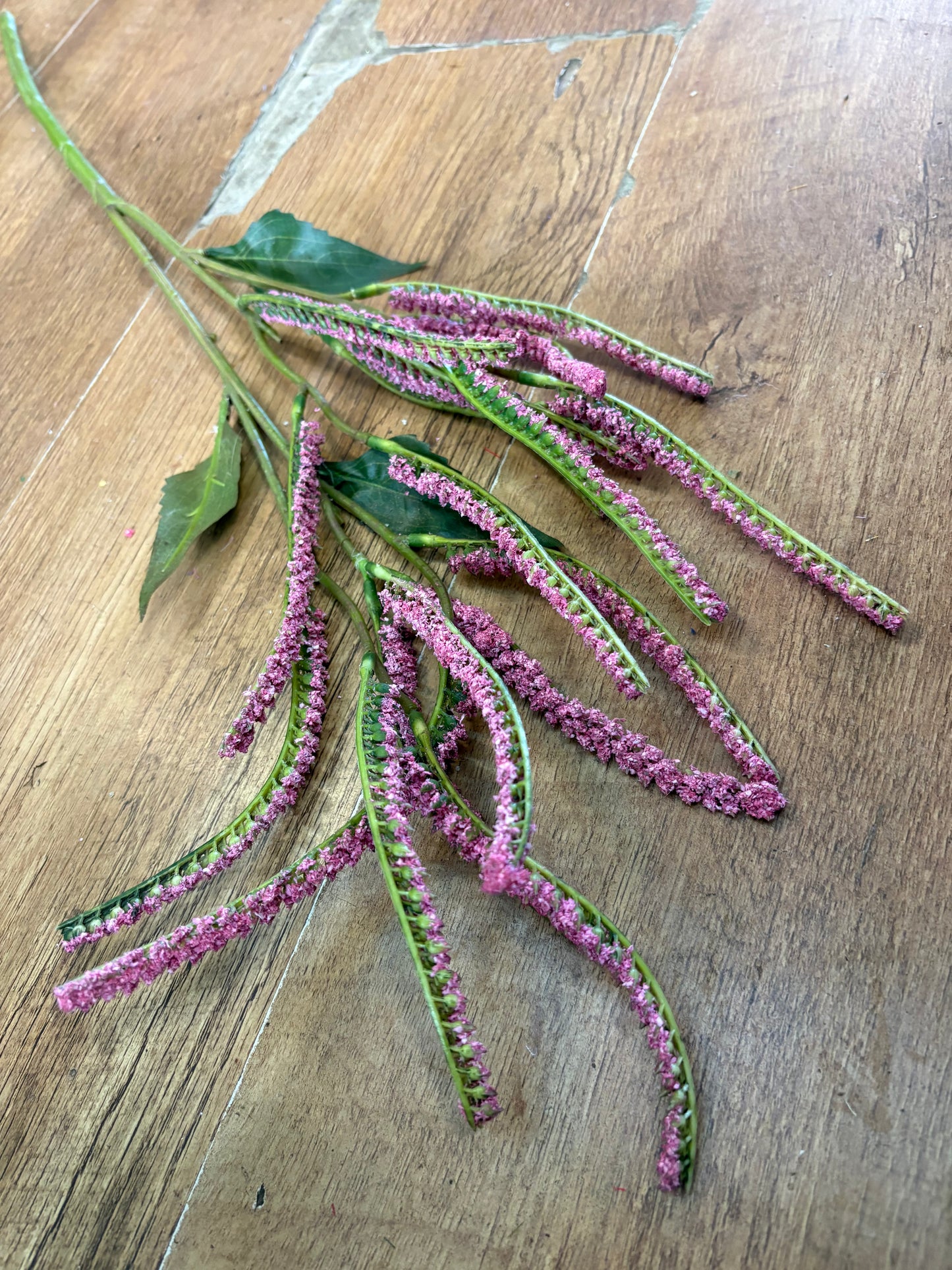 72cm pink salvia spray