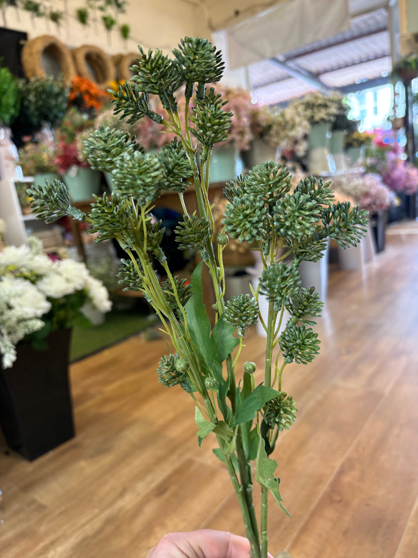 84cm tall green fire bud spray (buds 2cm)