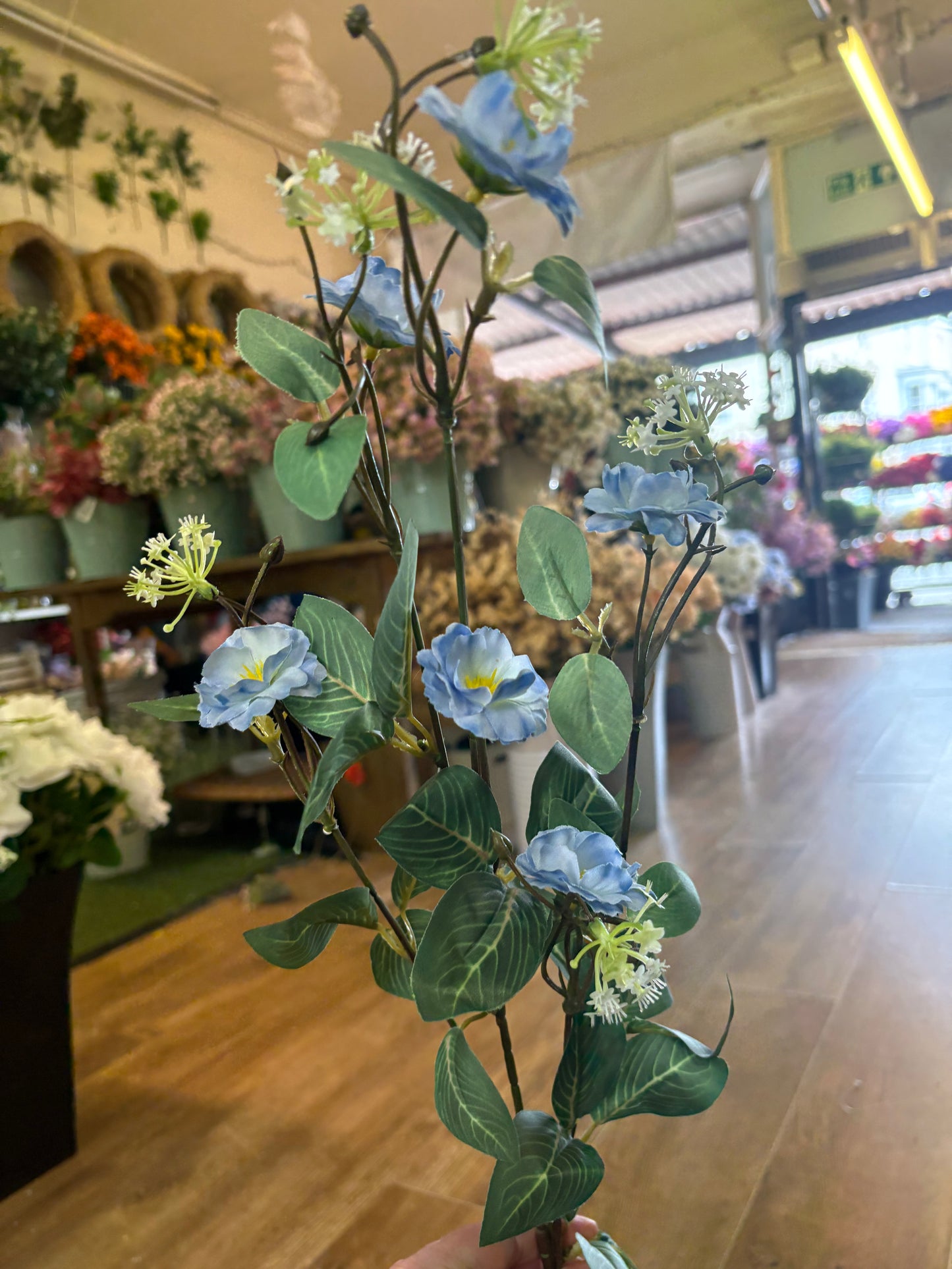85cm tall blue Marina spray