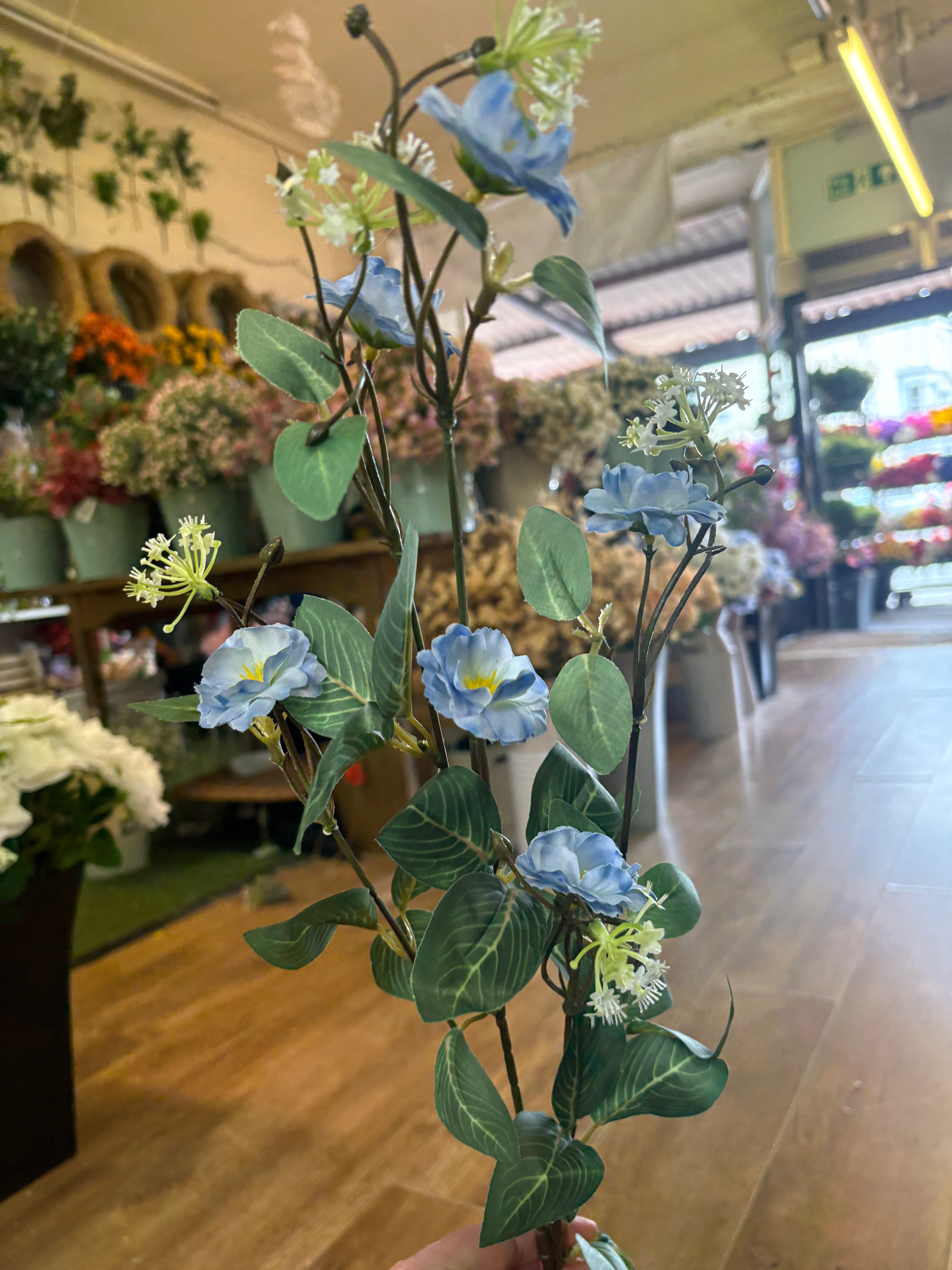 85cm tall blue Marina spray