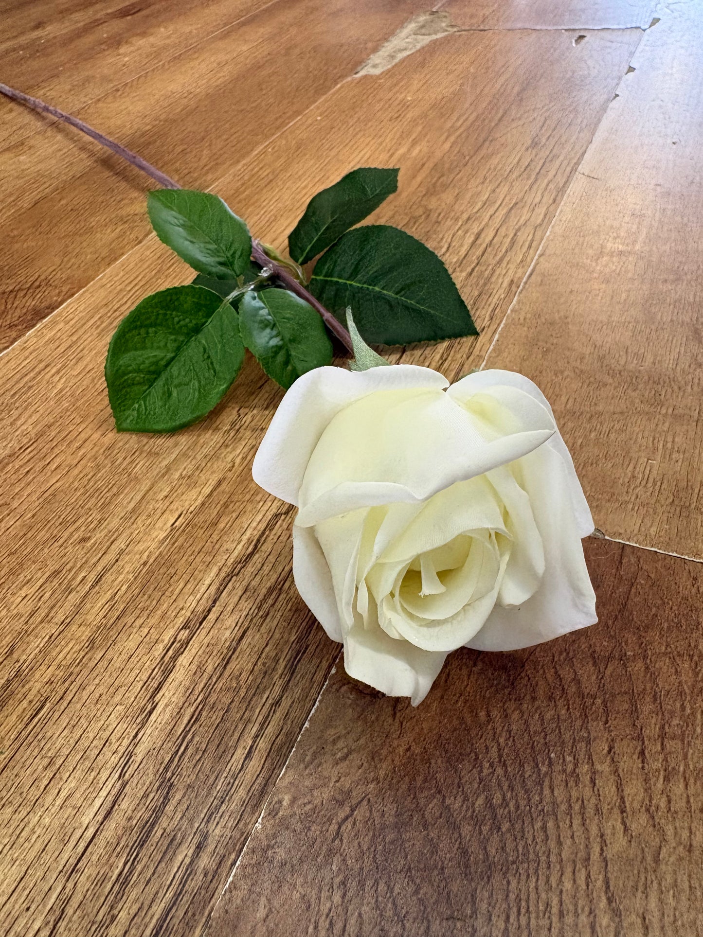 Cream real touch Deluxe single rose